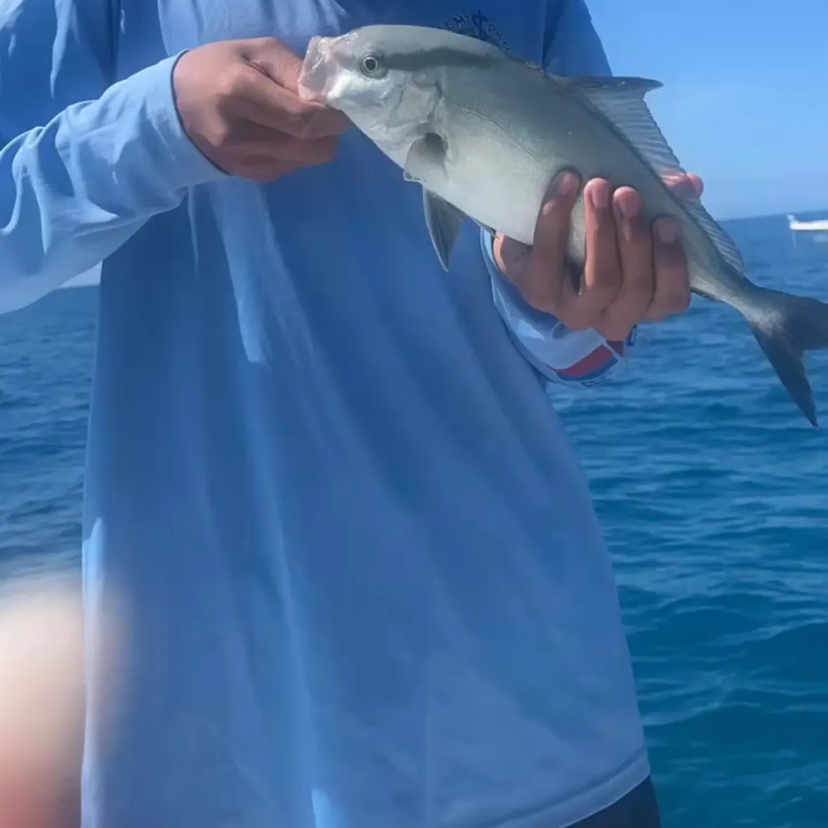 The most recent Lesser amberjack catches on Fishbrain