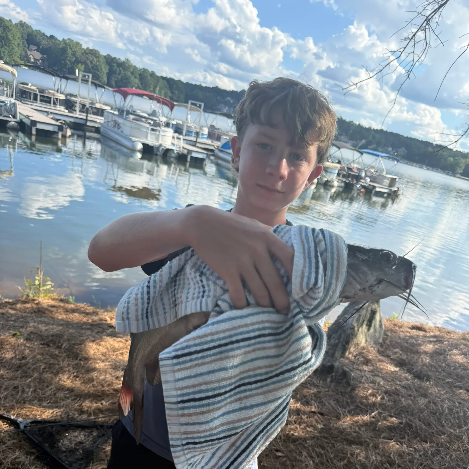 Channel catfish caught on Fishbrain