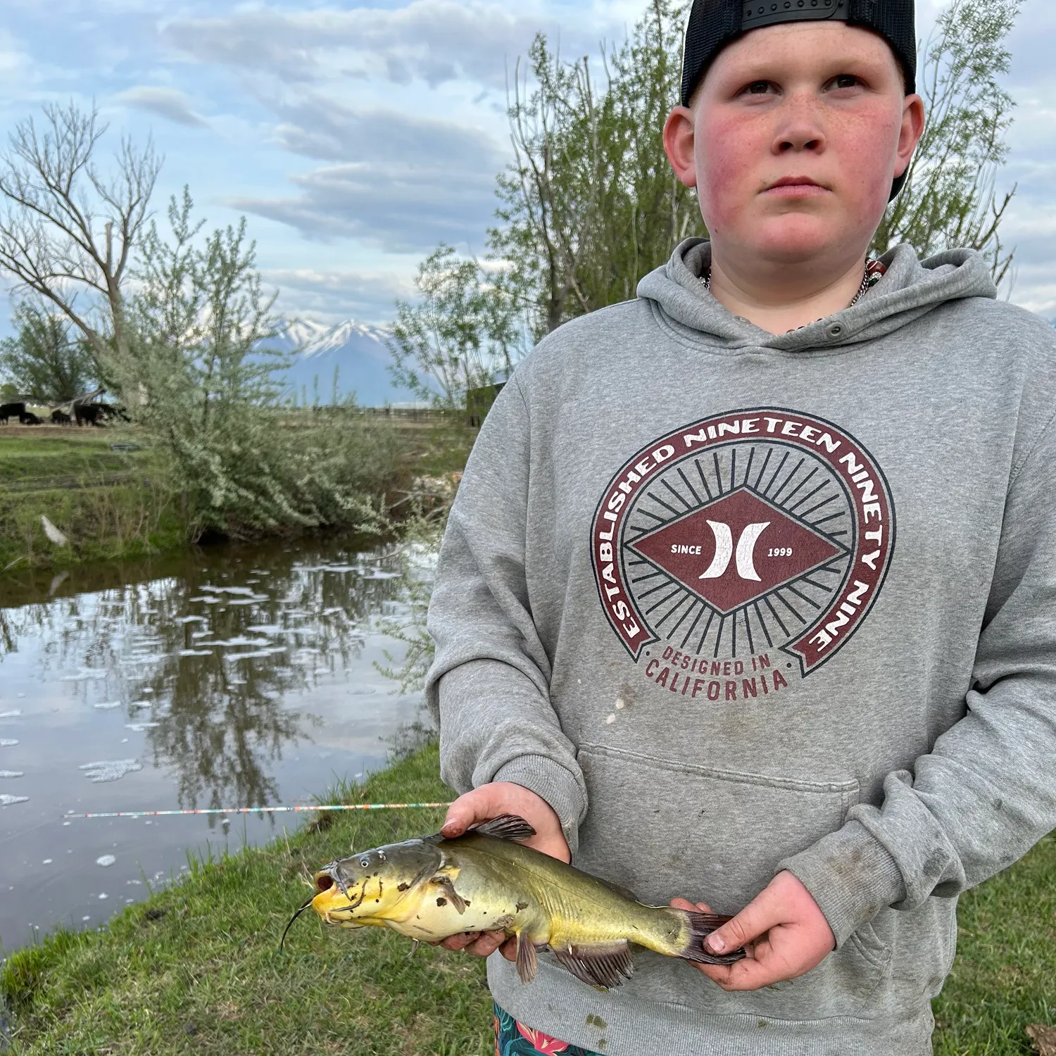 The most recent Channel catfish catches on Fishbrain