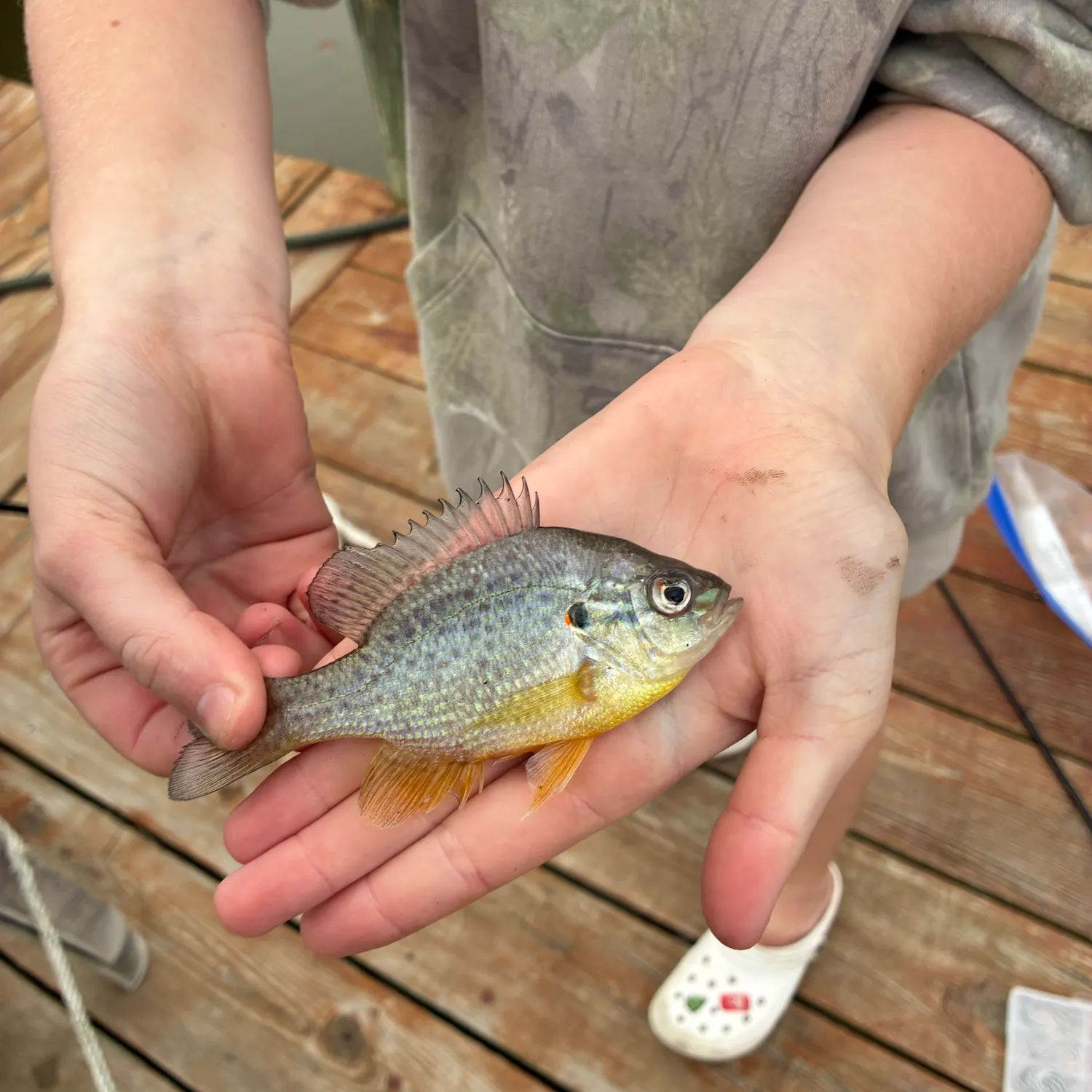 Fish caught on Fishbrain