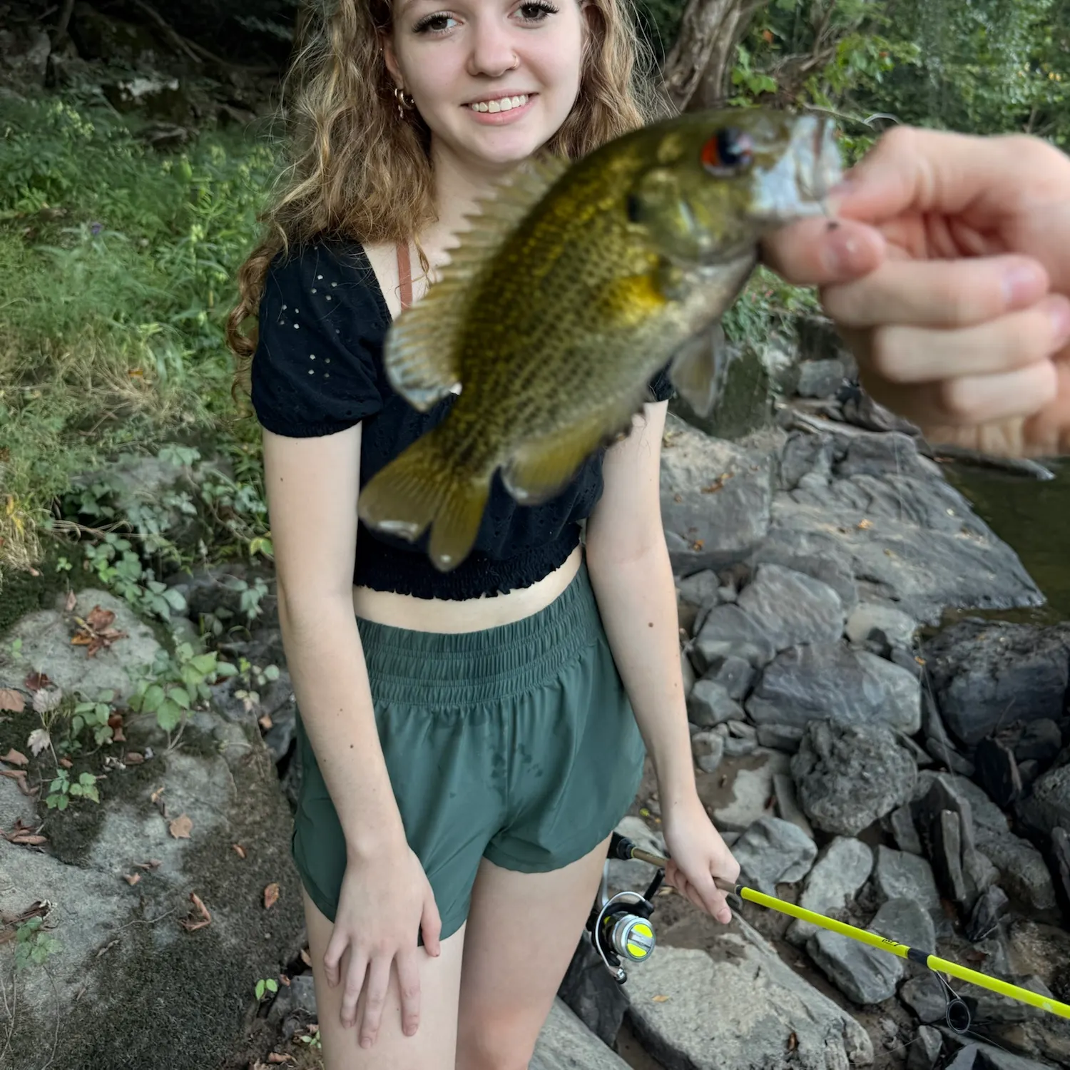 Rock bass caught on Fishbrain