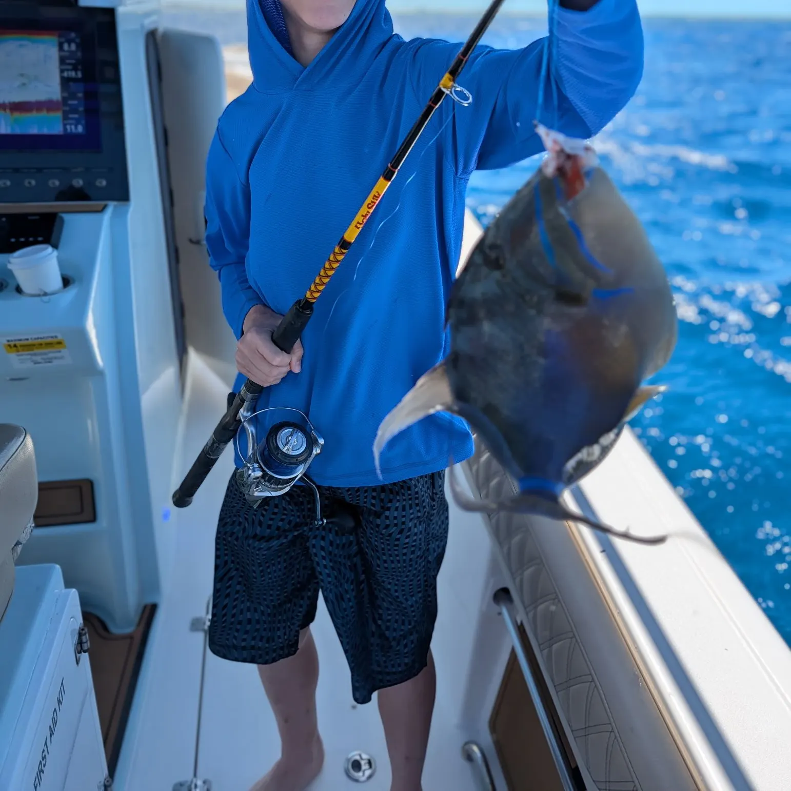 The most recent Queen triggerfish catches on Fishbrain