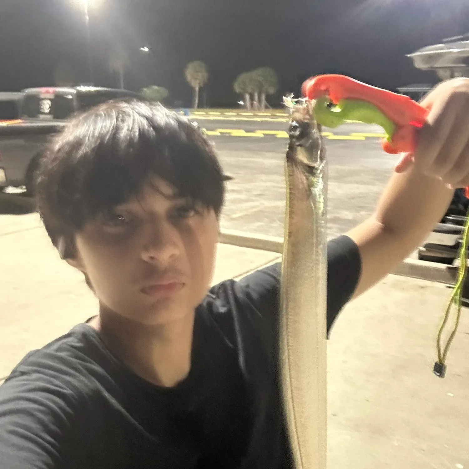 The most recent Atlantic cutlassfish catches on Fishbrain