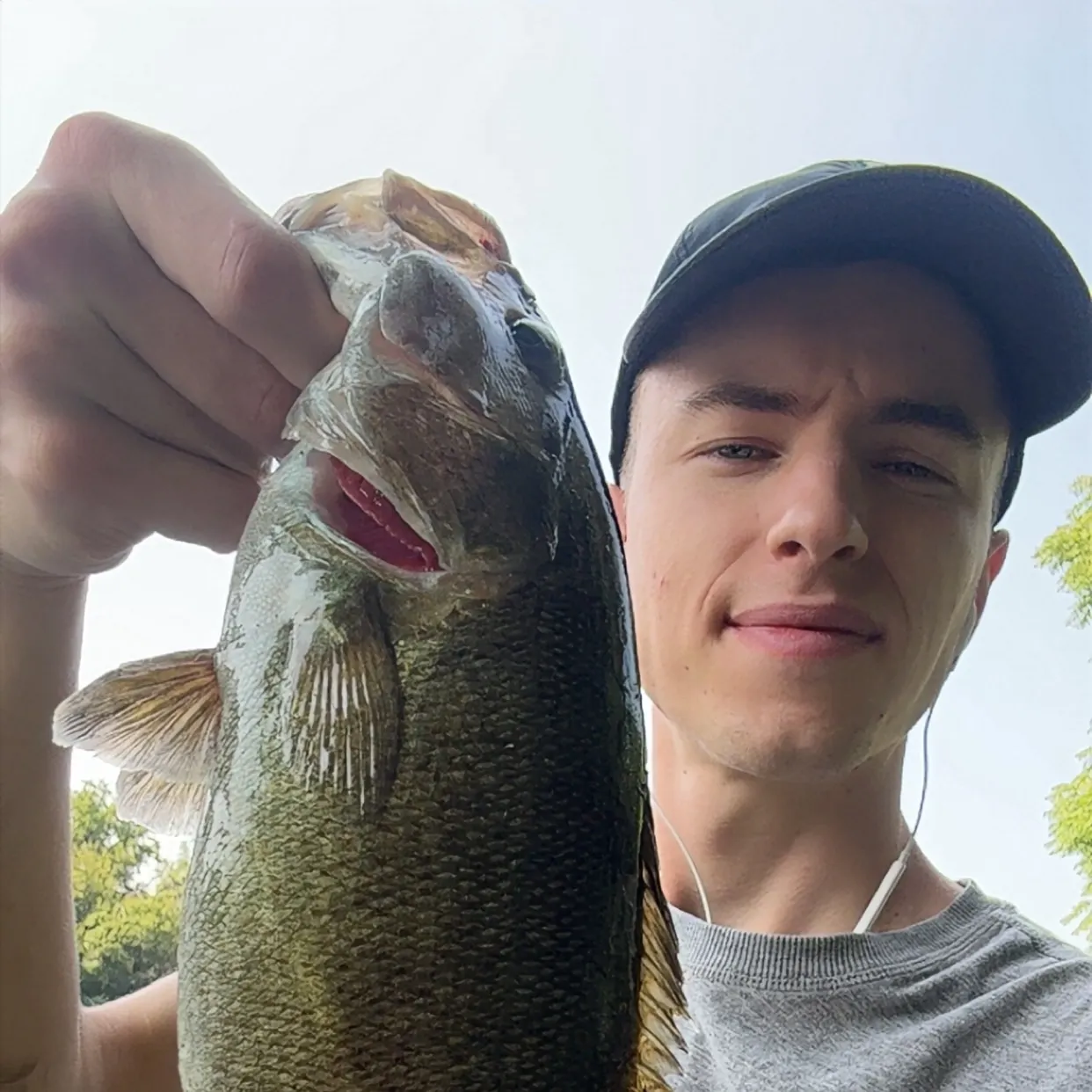 Smallmouth bass caught on Fishbrain