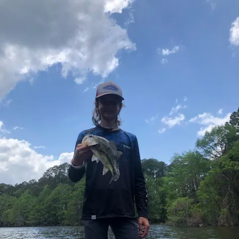 angler catch