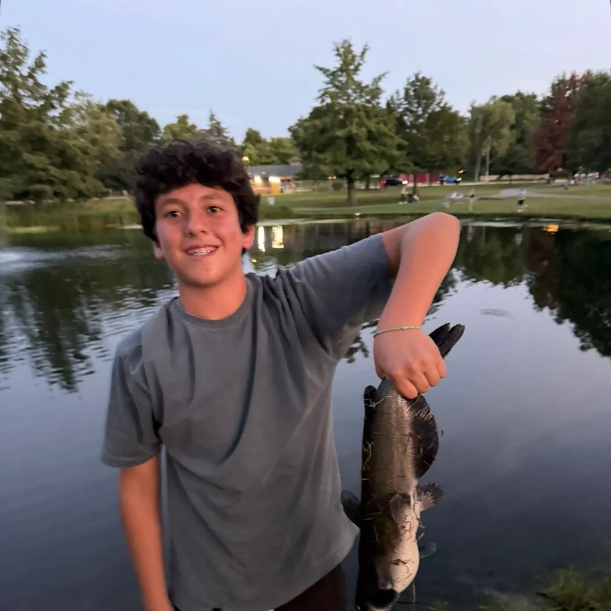 Channel catfish caught on Fishbrain