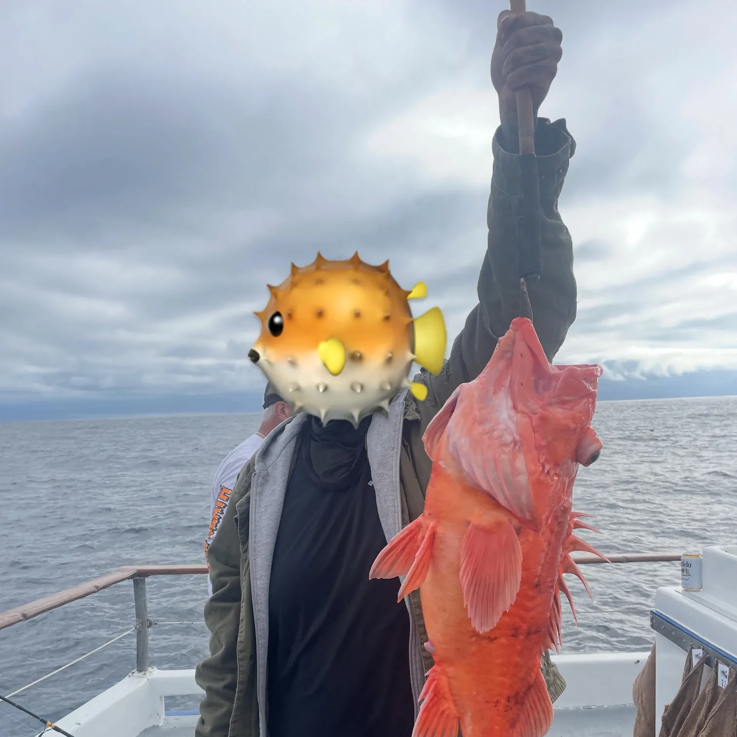 The most recent Cowcod rockfish catches on Fishbrain