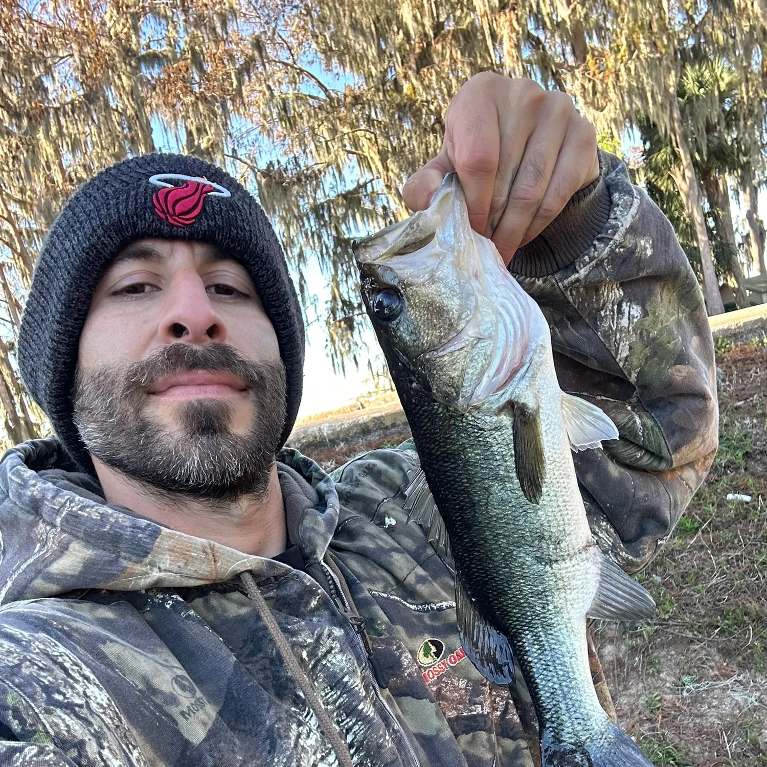 The most recent Largemouth bass catches on Fishbrain