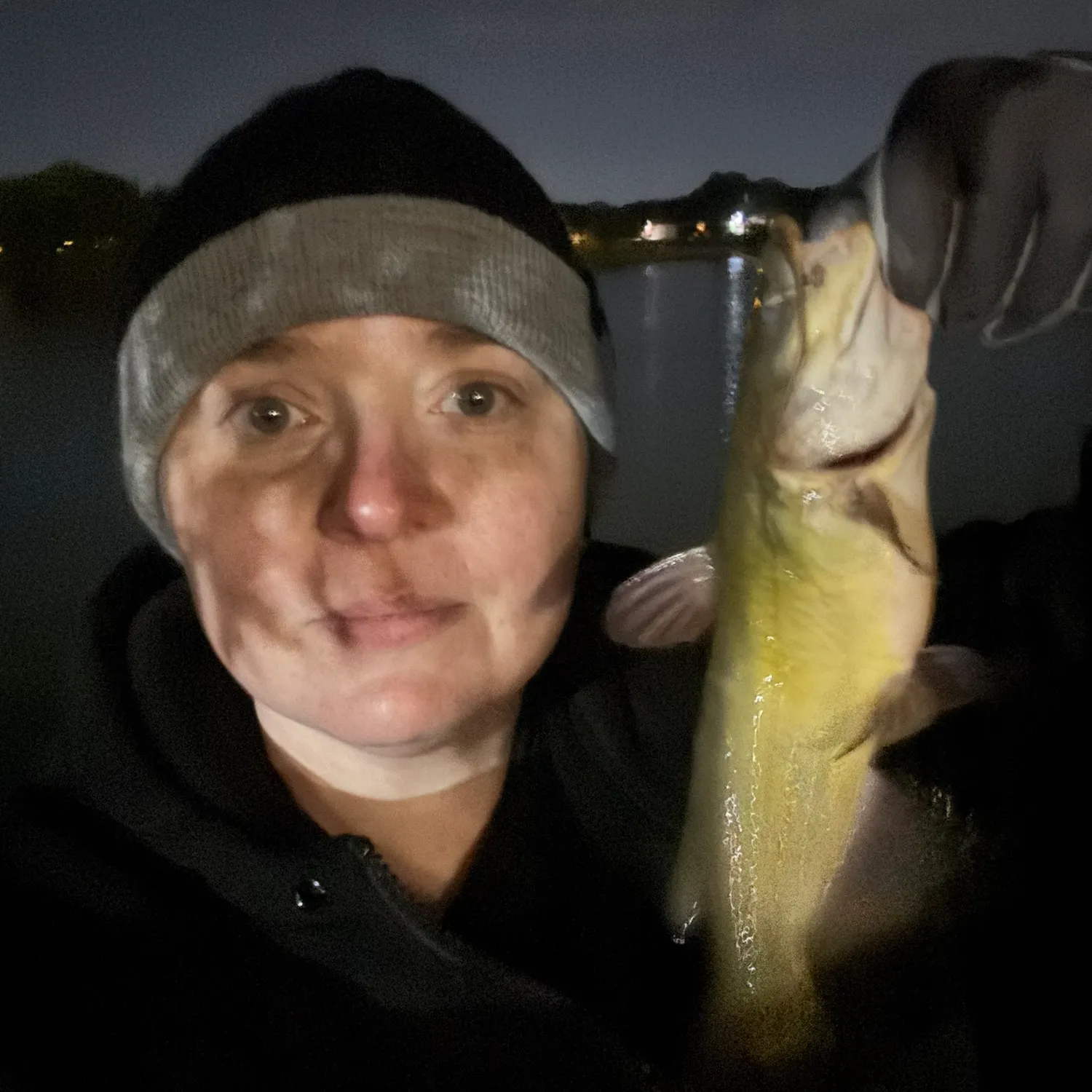 Yellow bullhead caught on Fishbrain