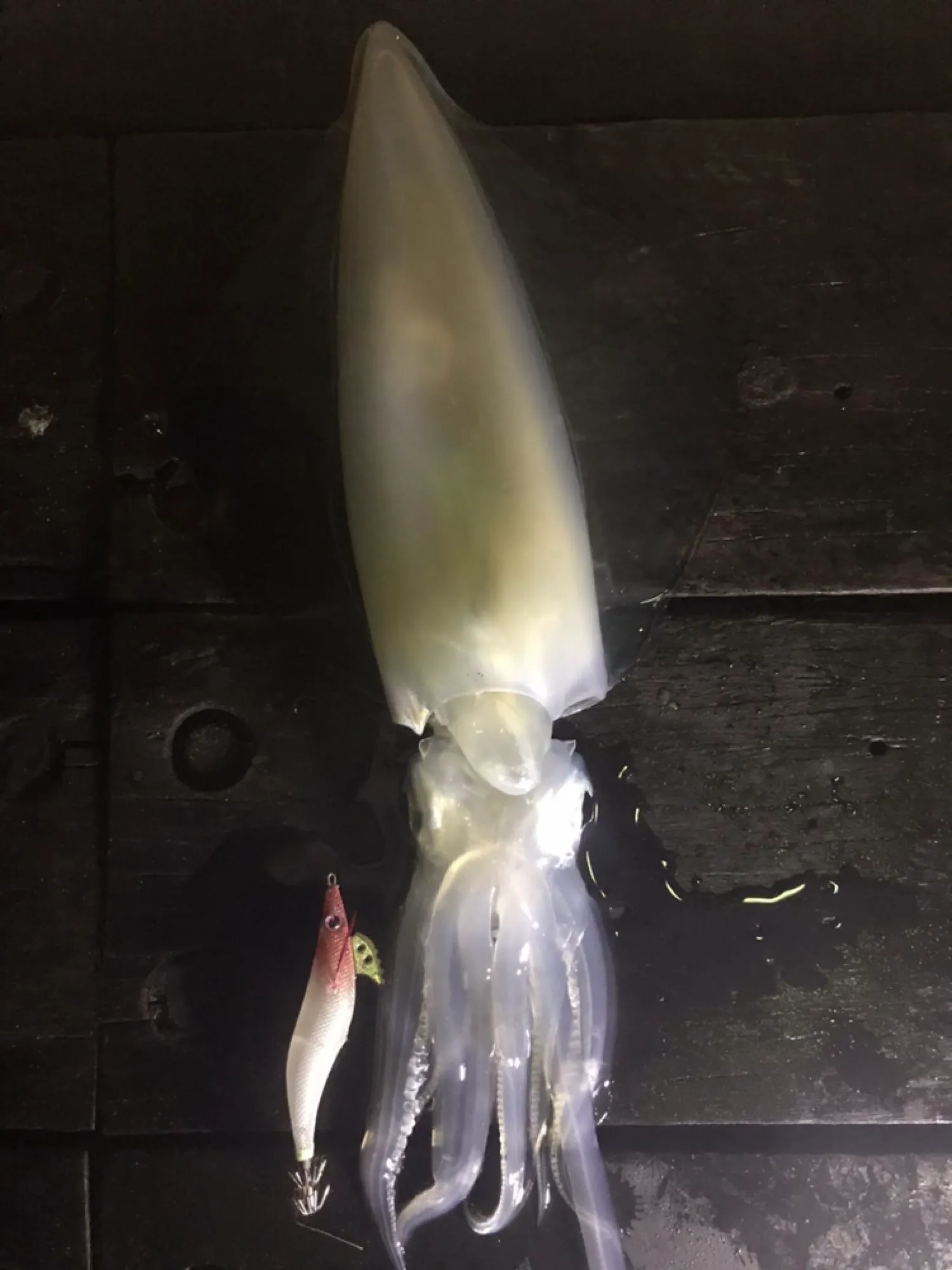 Post image from carlosbabiano