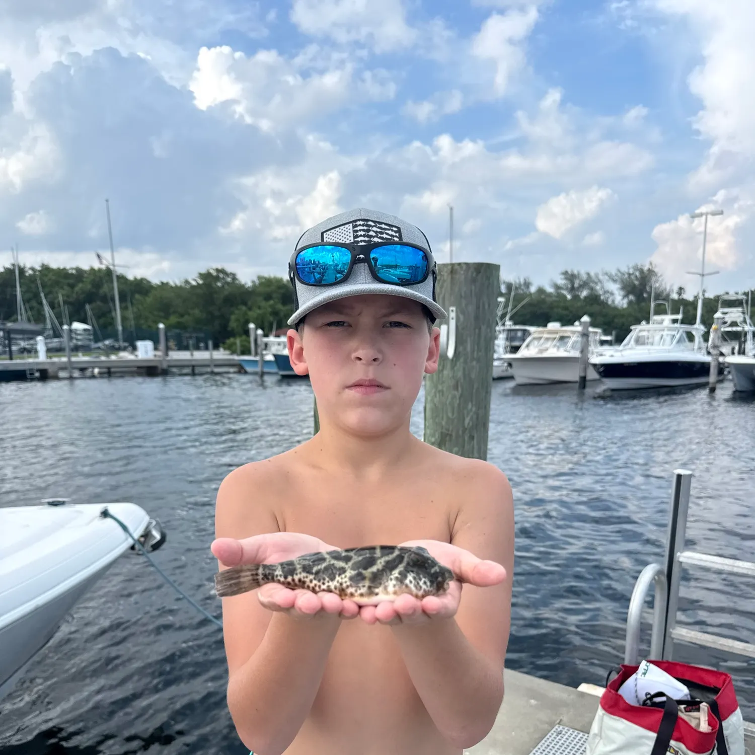 The most recent Evileye pufferfish catches on Fishbrain
