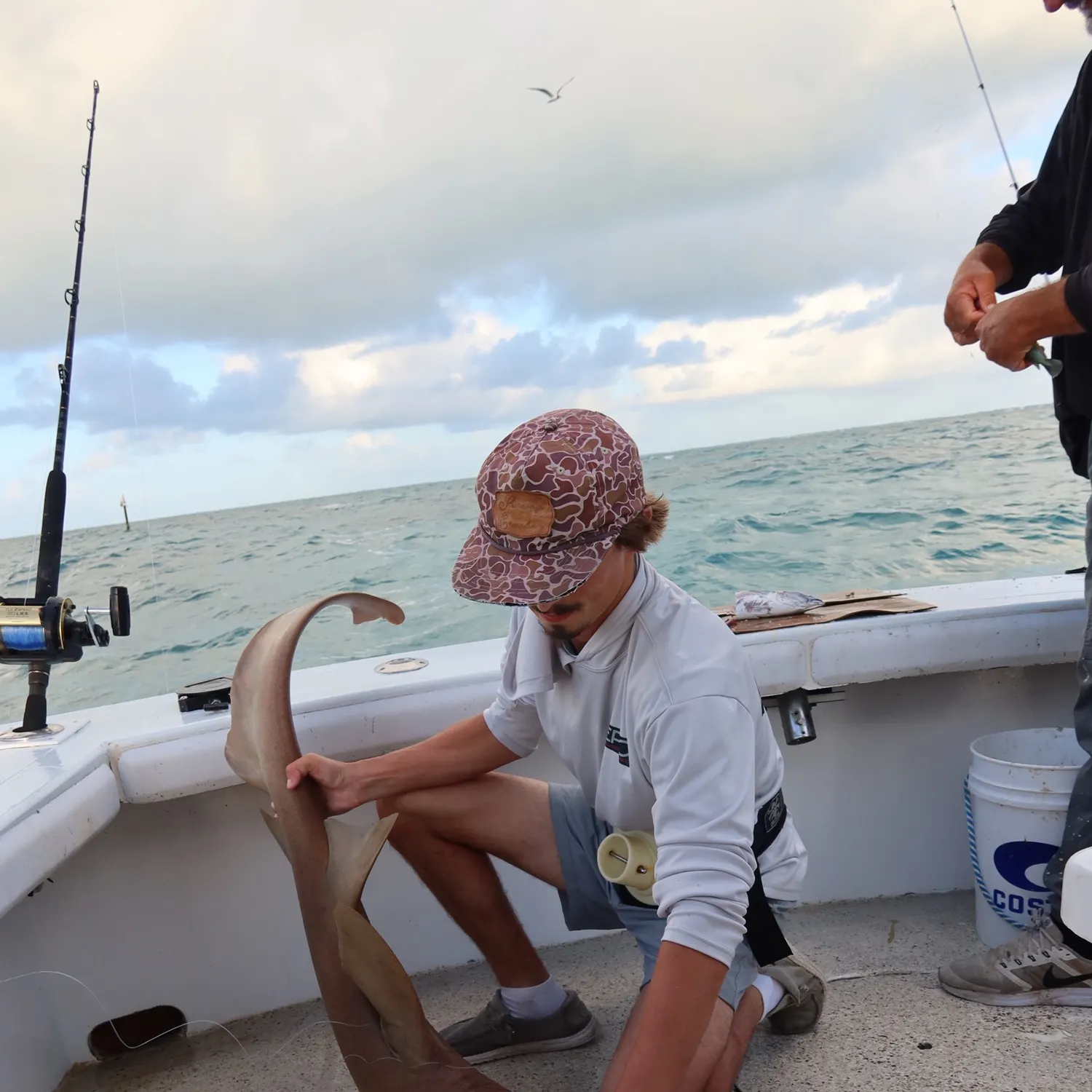 The most recent Nurse shark catches on Fishbrain