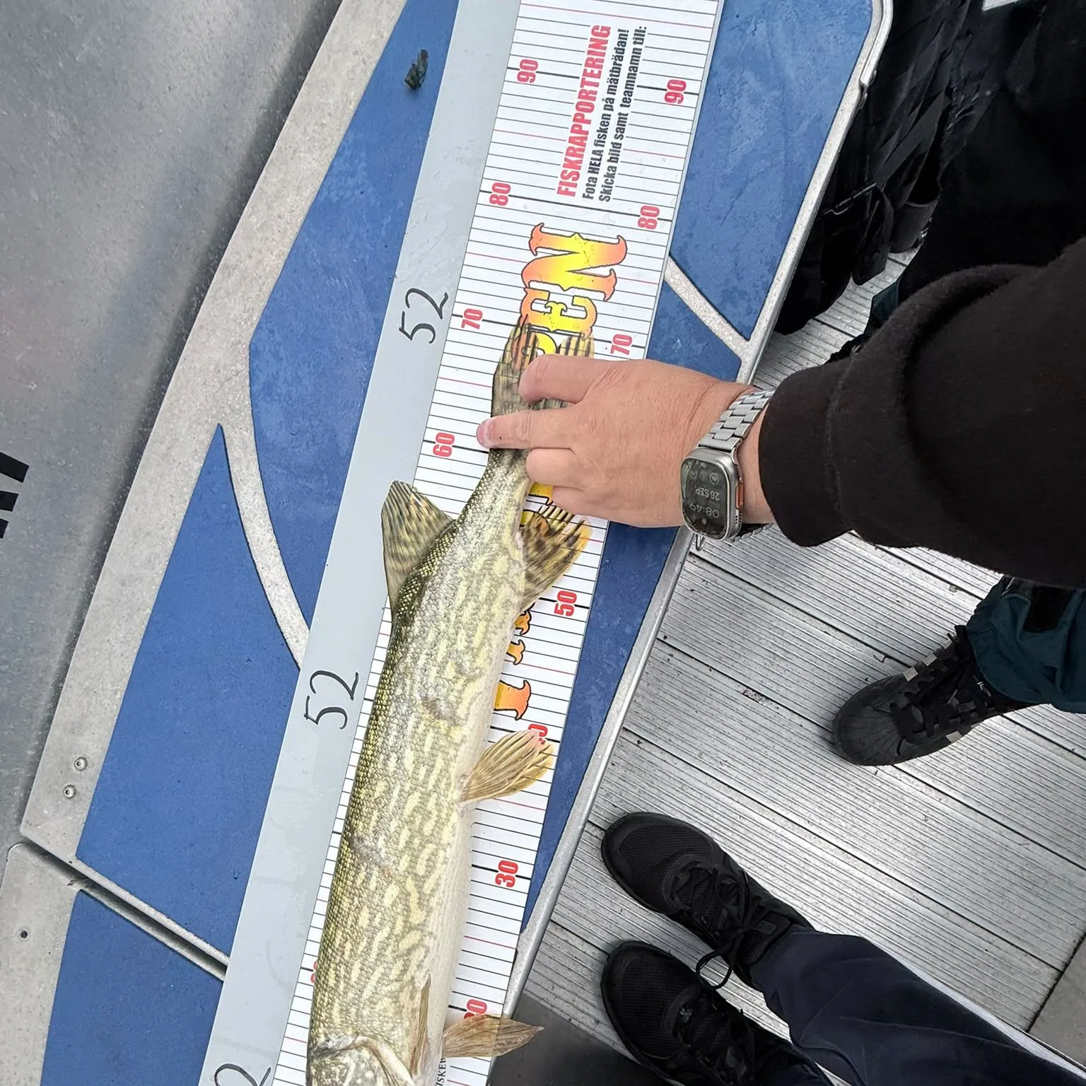 Northern pike caught on Fishbrain