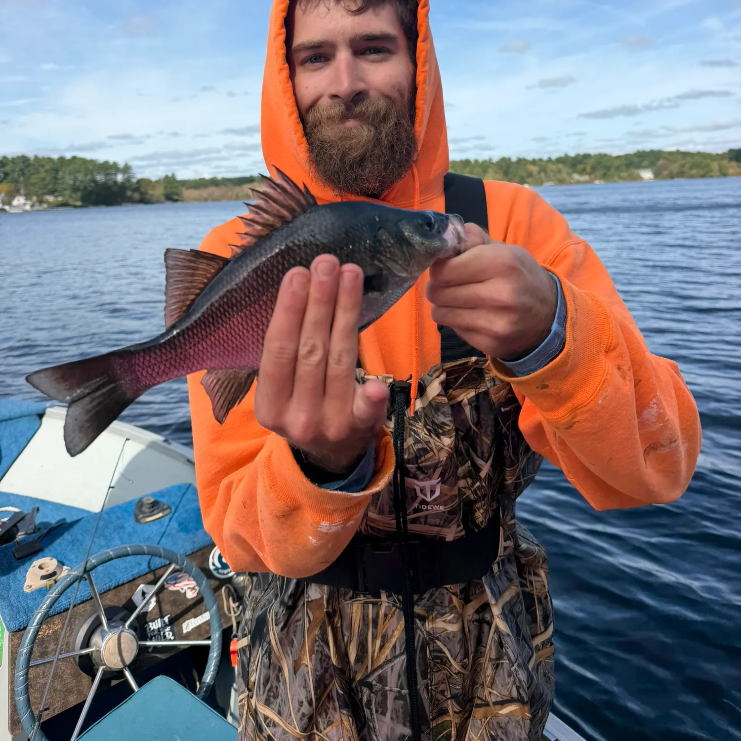 White perch caught on Fishbrain
