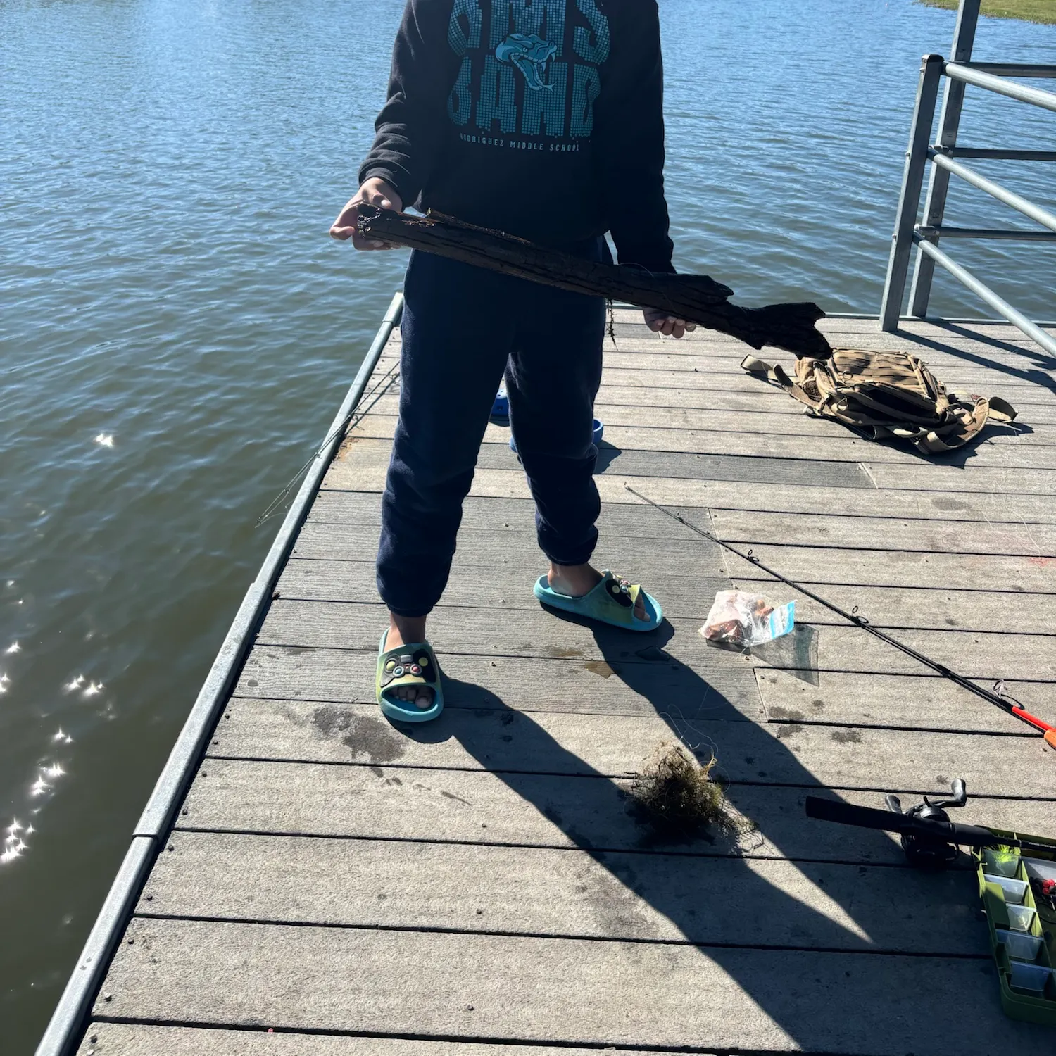 Fish caught on Fishbrain