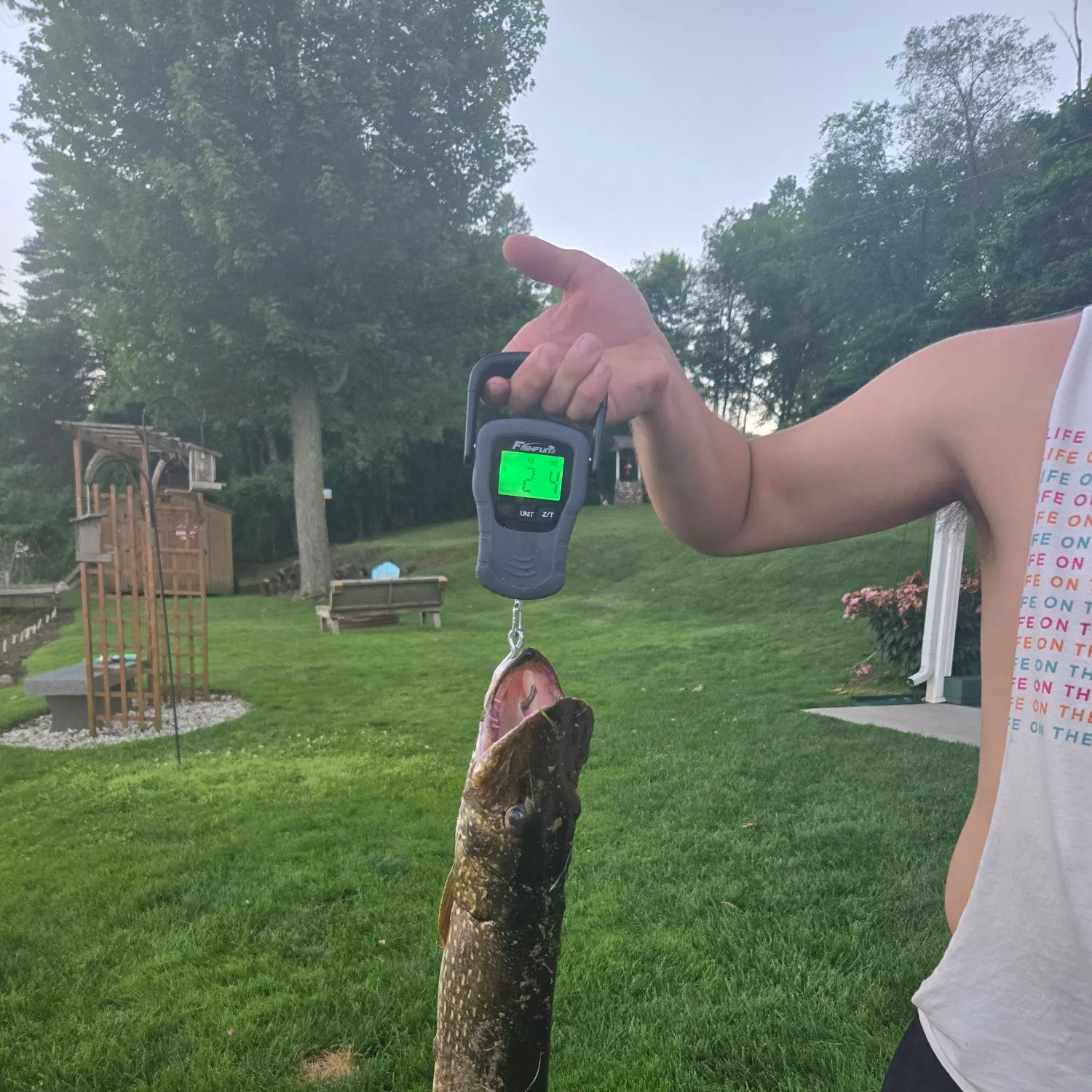 recently logged catches