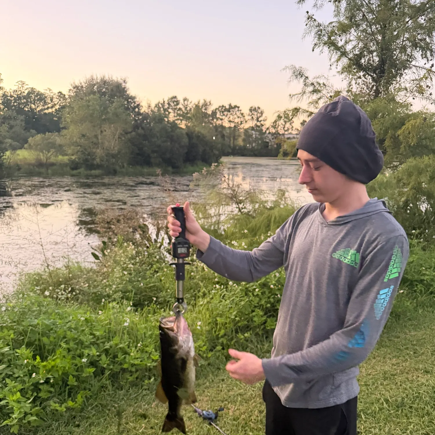 Largemouth bass caught on Fishbrain