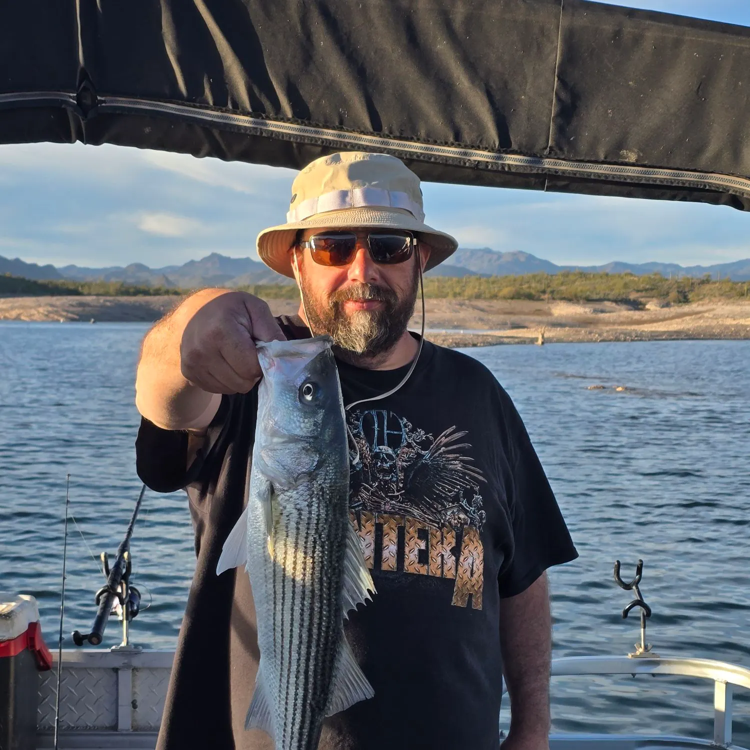 The most recent Striped bass catches on Fishbrain