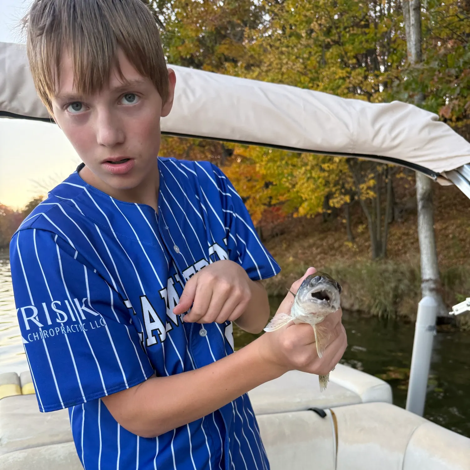 Walleye caught on Fishbrain