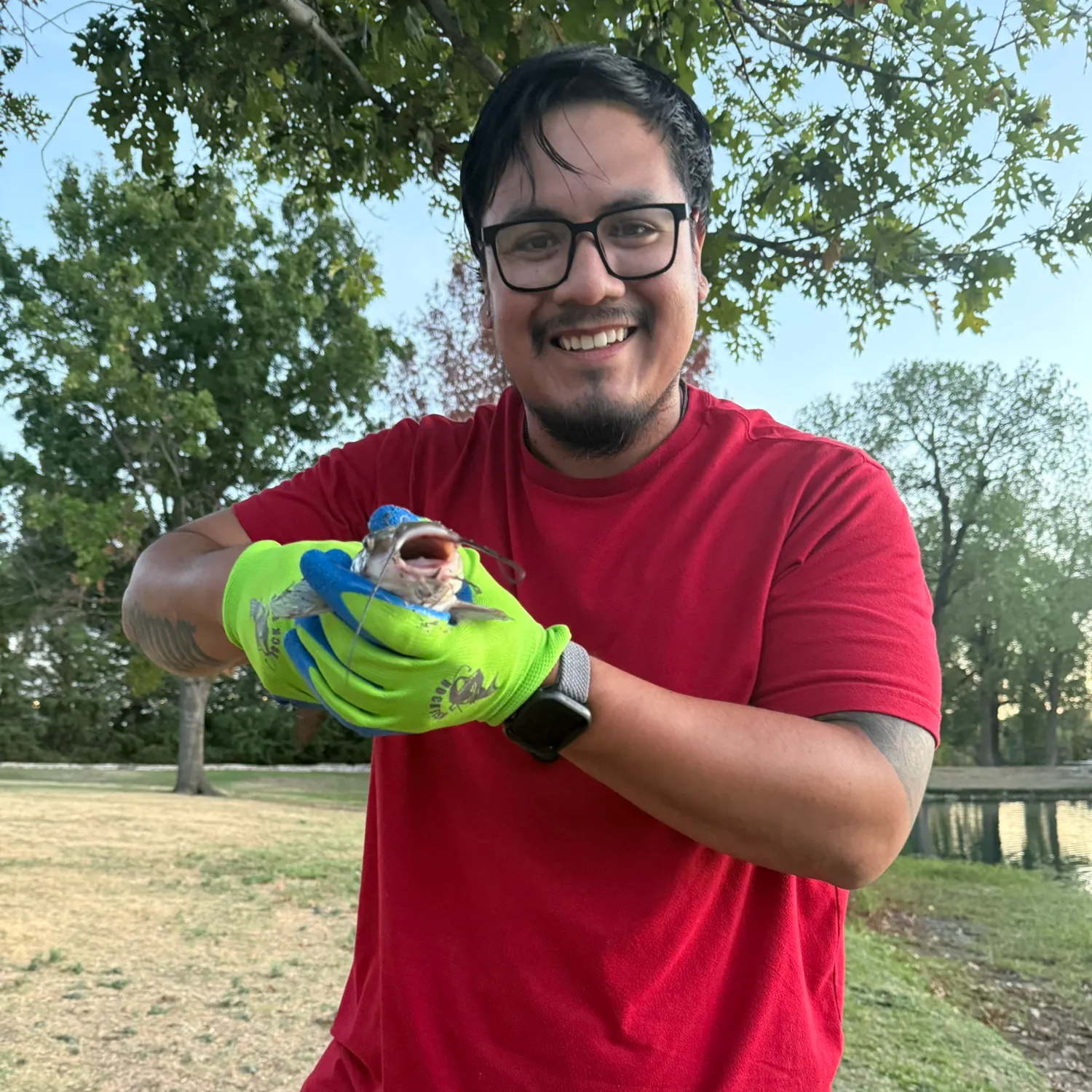 Channel catfish caught on Fishbrain