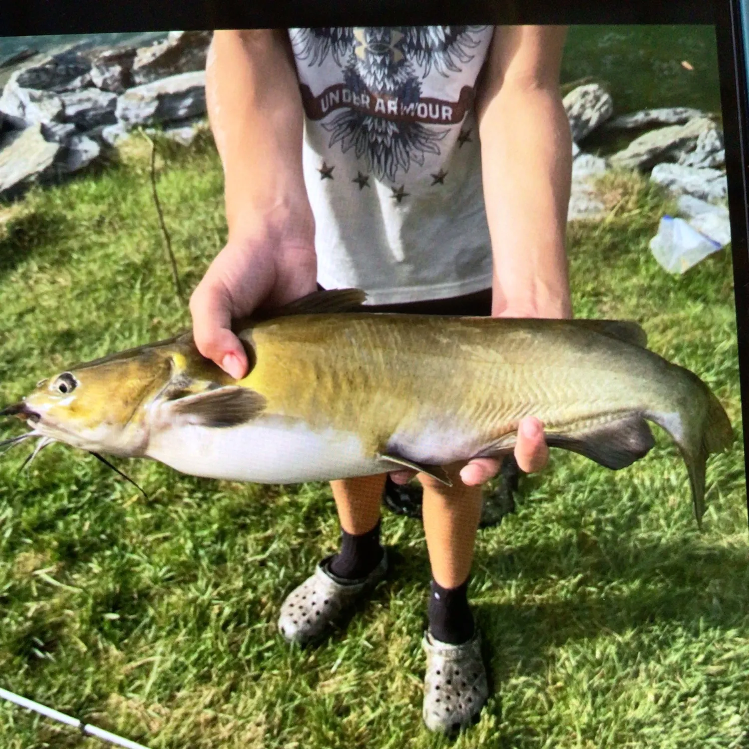 Channel catfish caught on Fishbrain