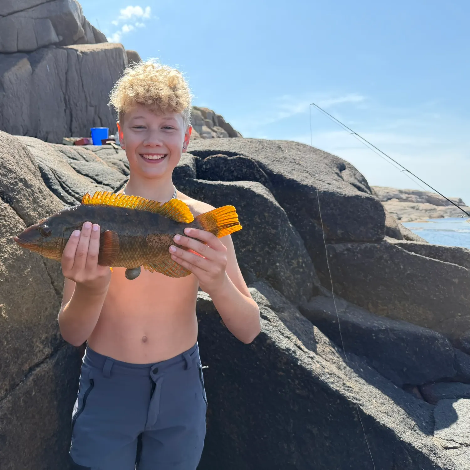 The most recent Cuckoo wrasse catches on Fishbrain