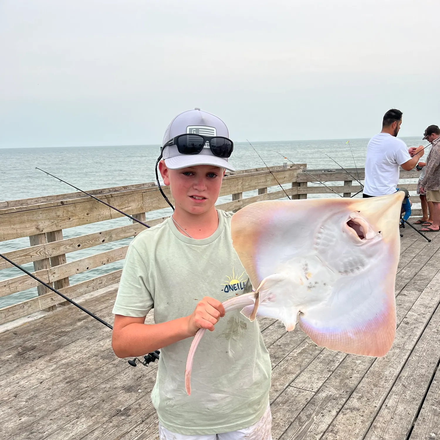 The most recent Cownose Ray catches on Fishbrain