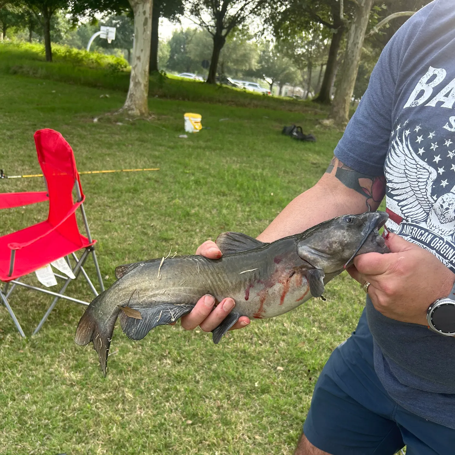 catch