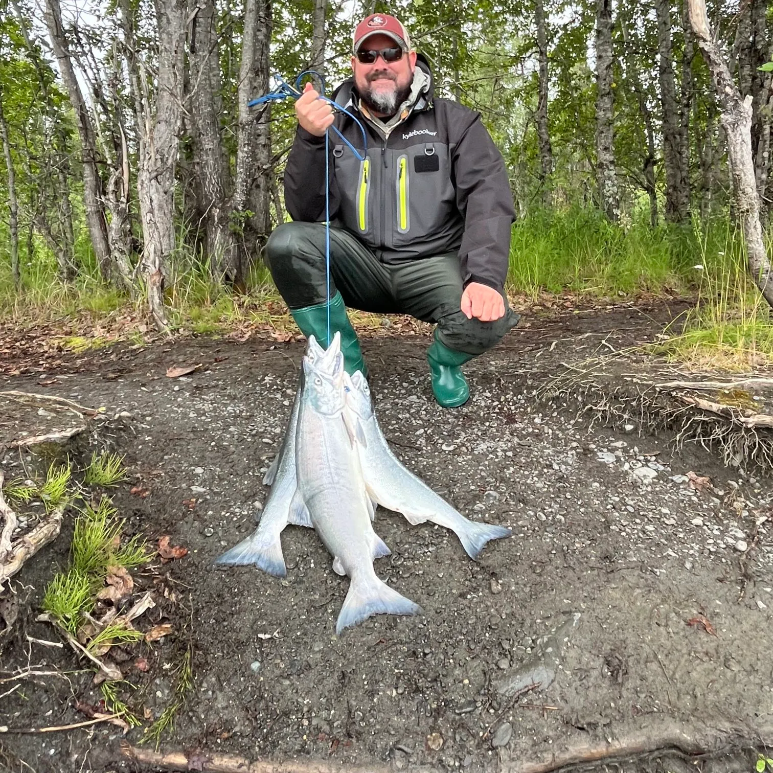 The most recent Sockeye salmon catches on Fishbrain