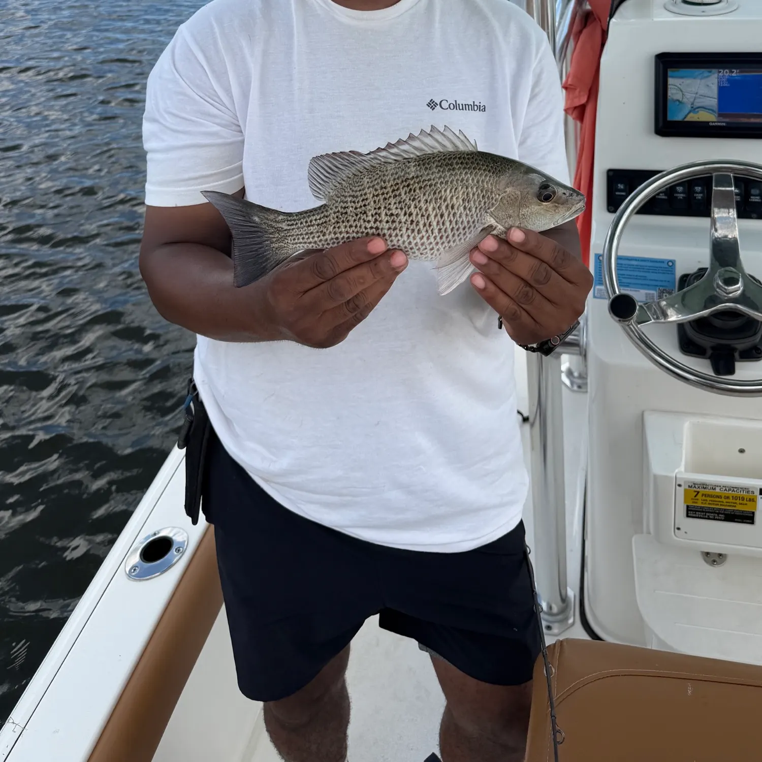 Mangrove snapper caught on Fishbrain