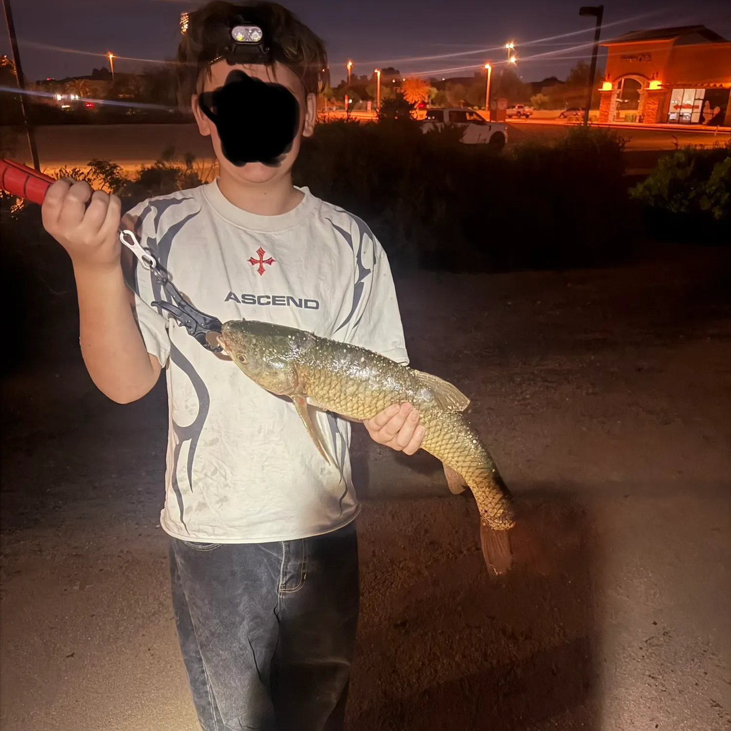 Grass carp caught on Fishbrain