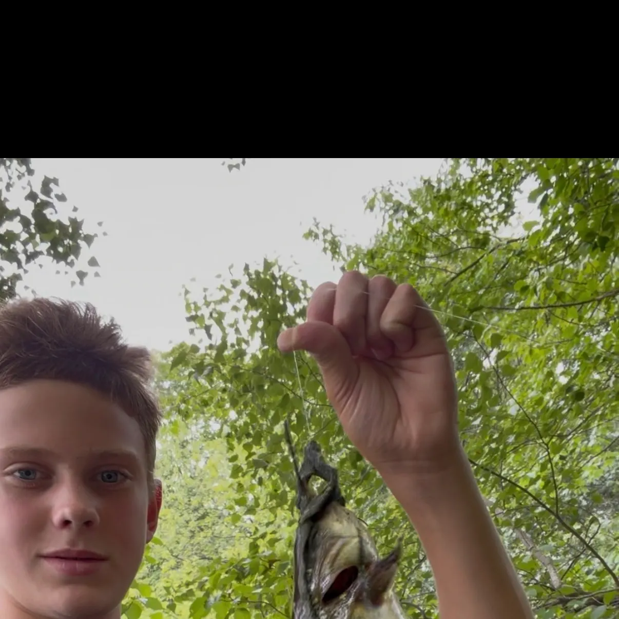 Brown bullhead caught on Fishbrain