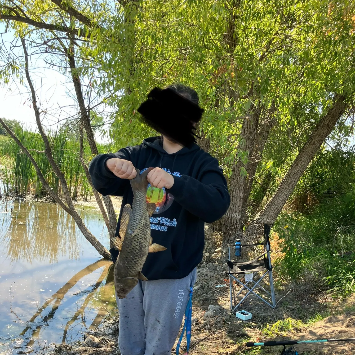 Common carp caught on Fishbrain