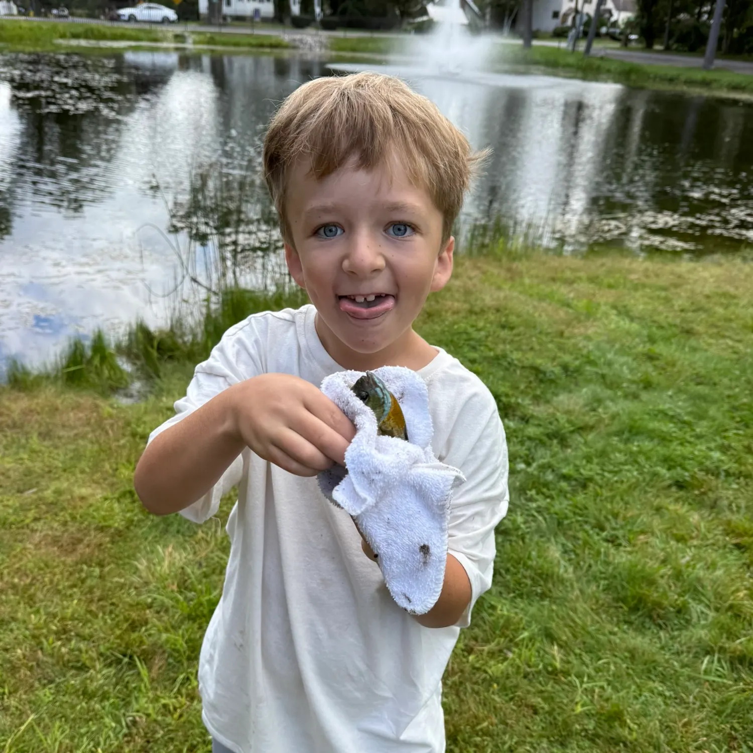 Bluegill caught on Fishbrain