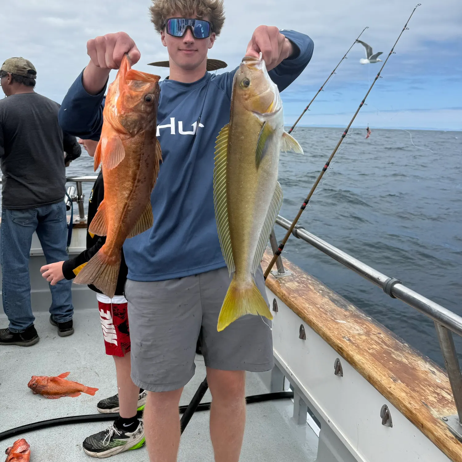Mountain whitefish caught on Fishbrain