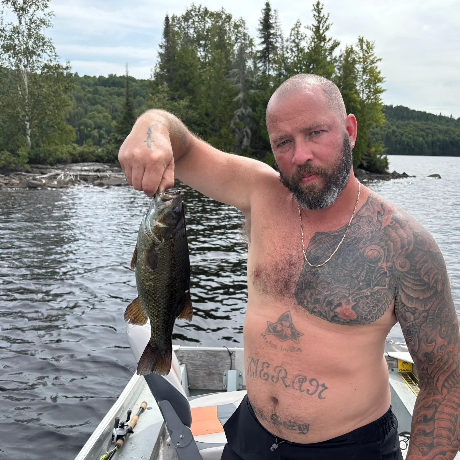 Smallmouth bass caught on Fishbrain