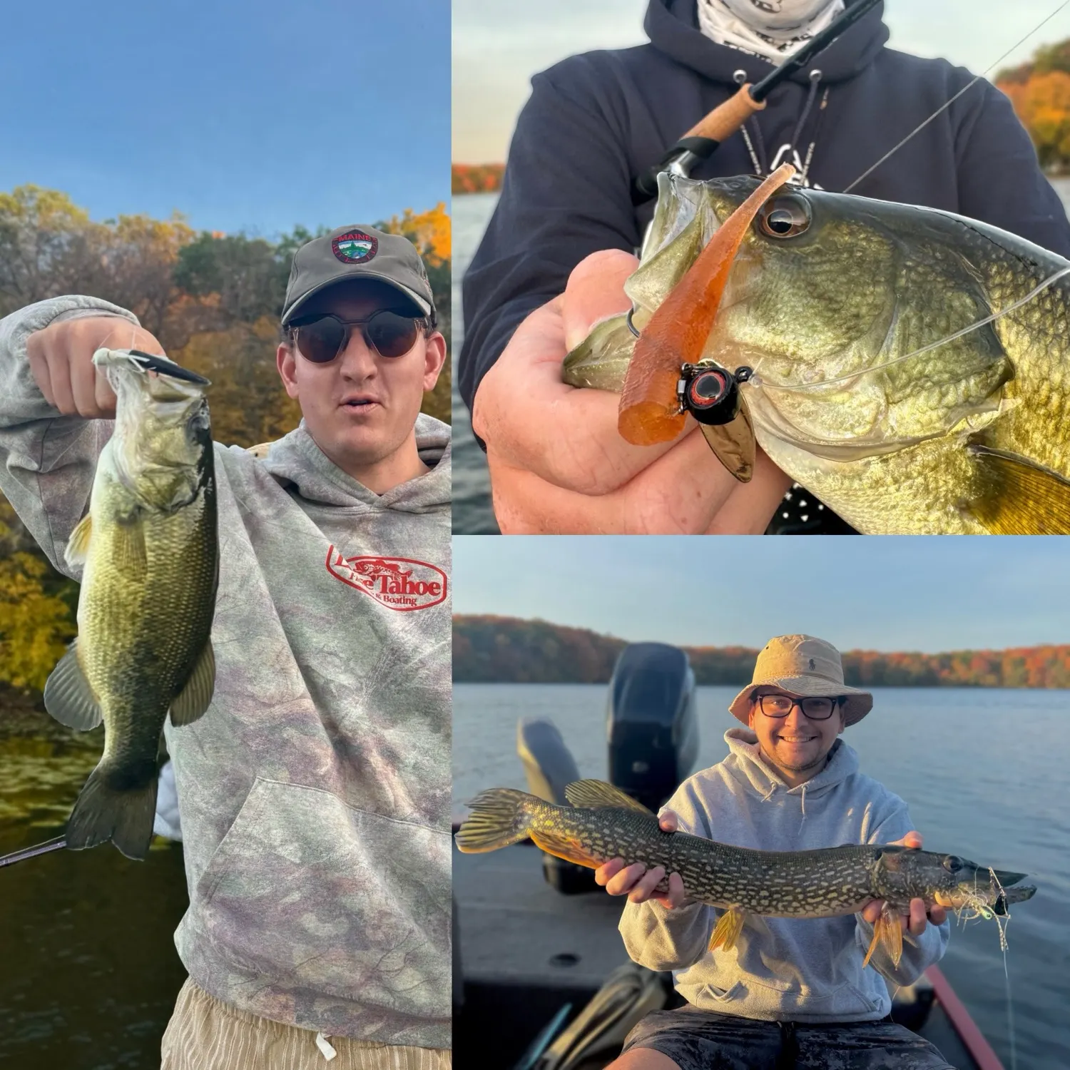 Northern pike caught on Fishbrain
