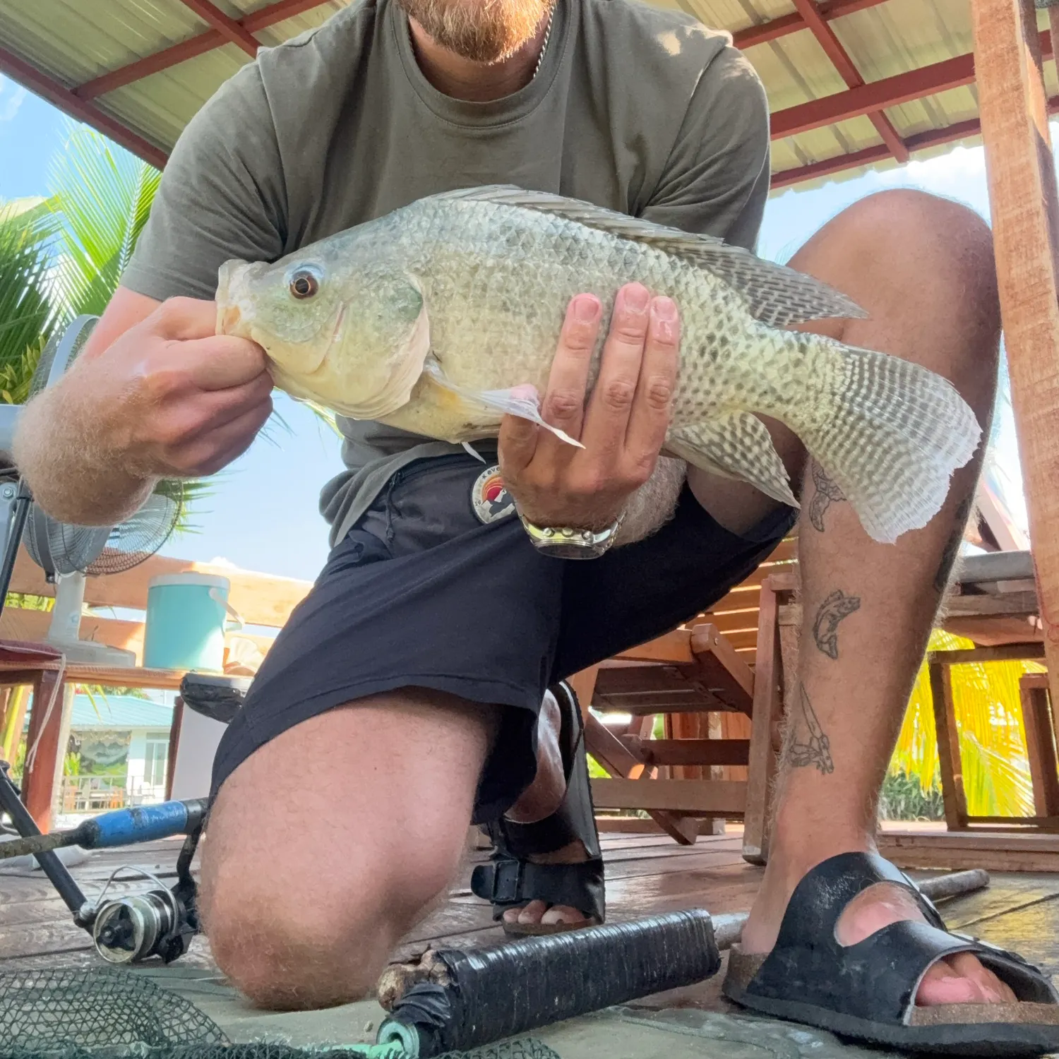 catch
