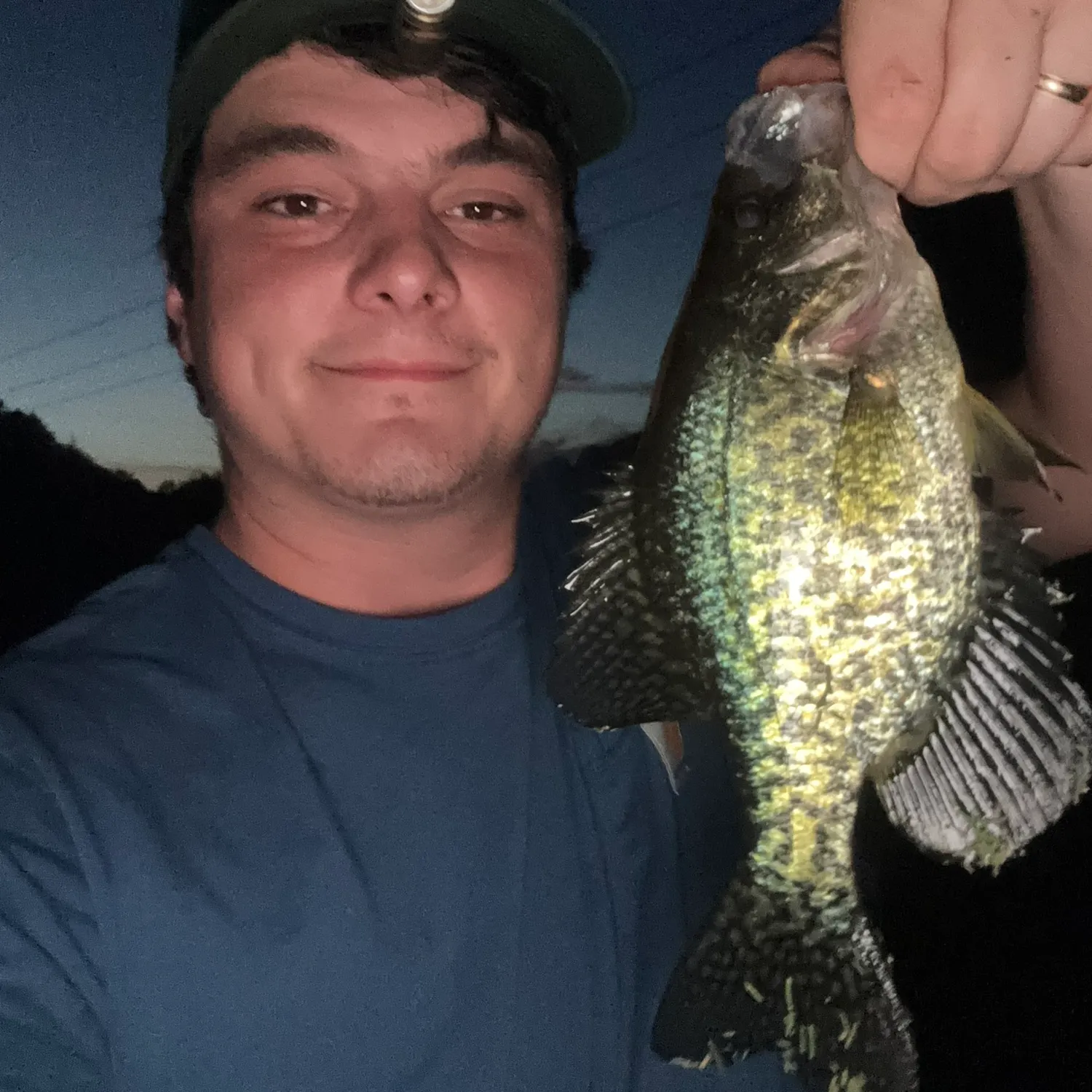 Black crappie caught on Fishbrain