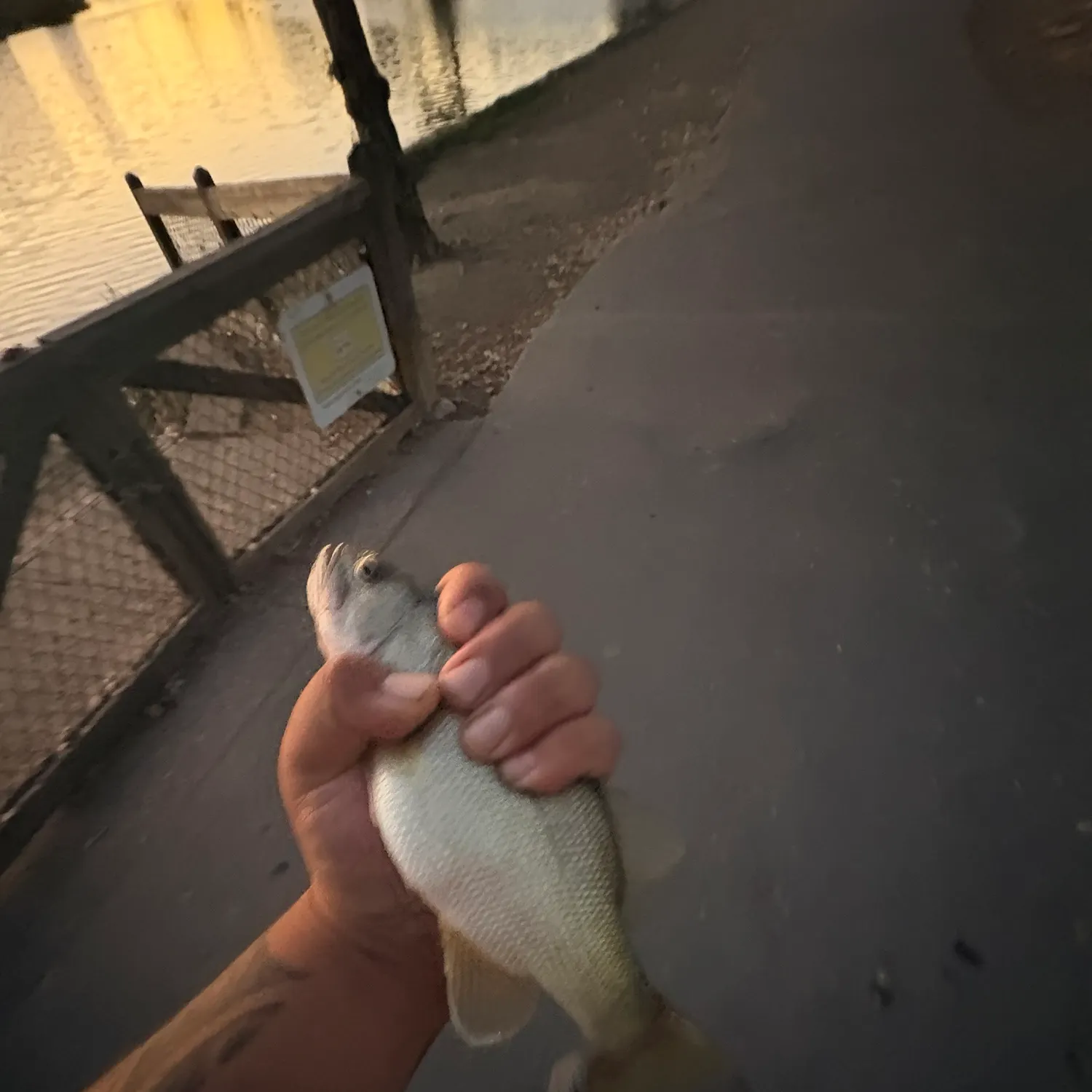 catch