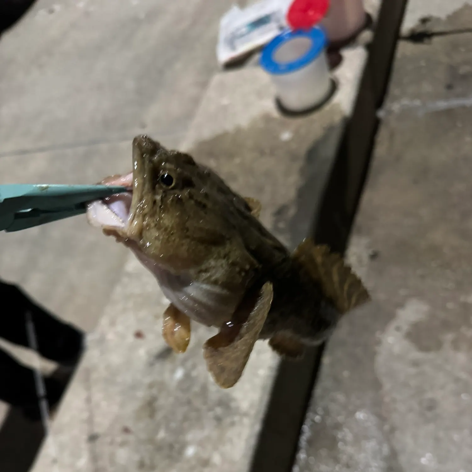 catch