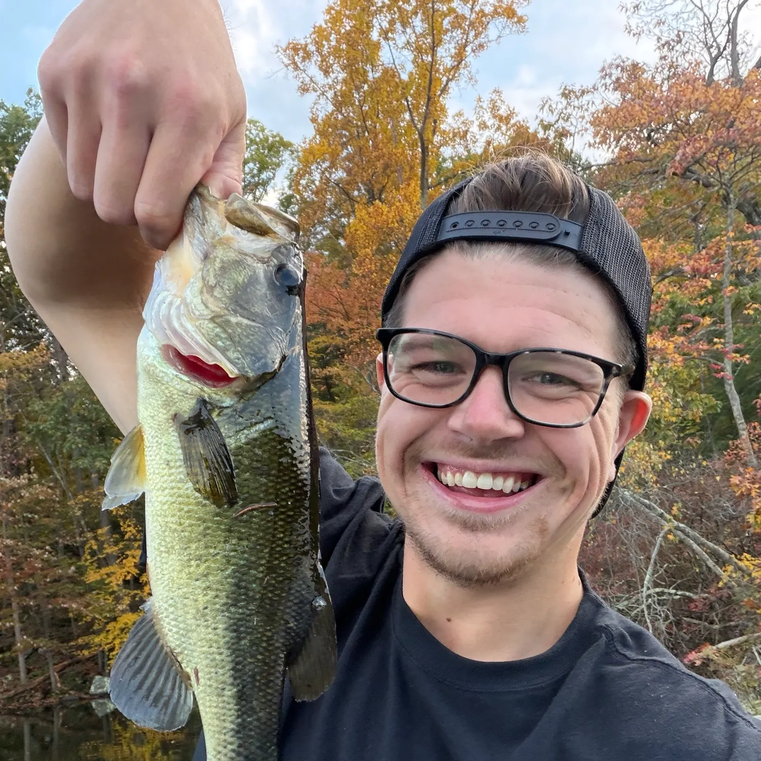 Largemouth bass caught on Fishbrain