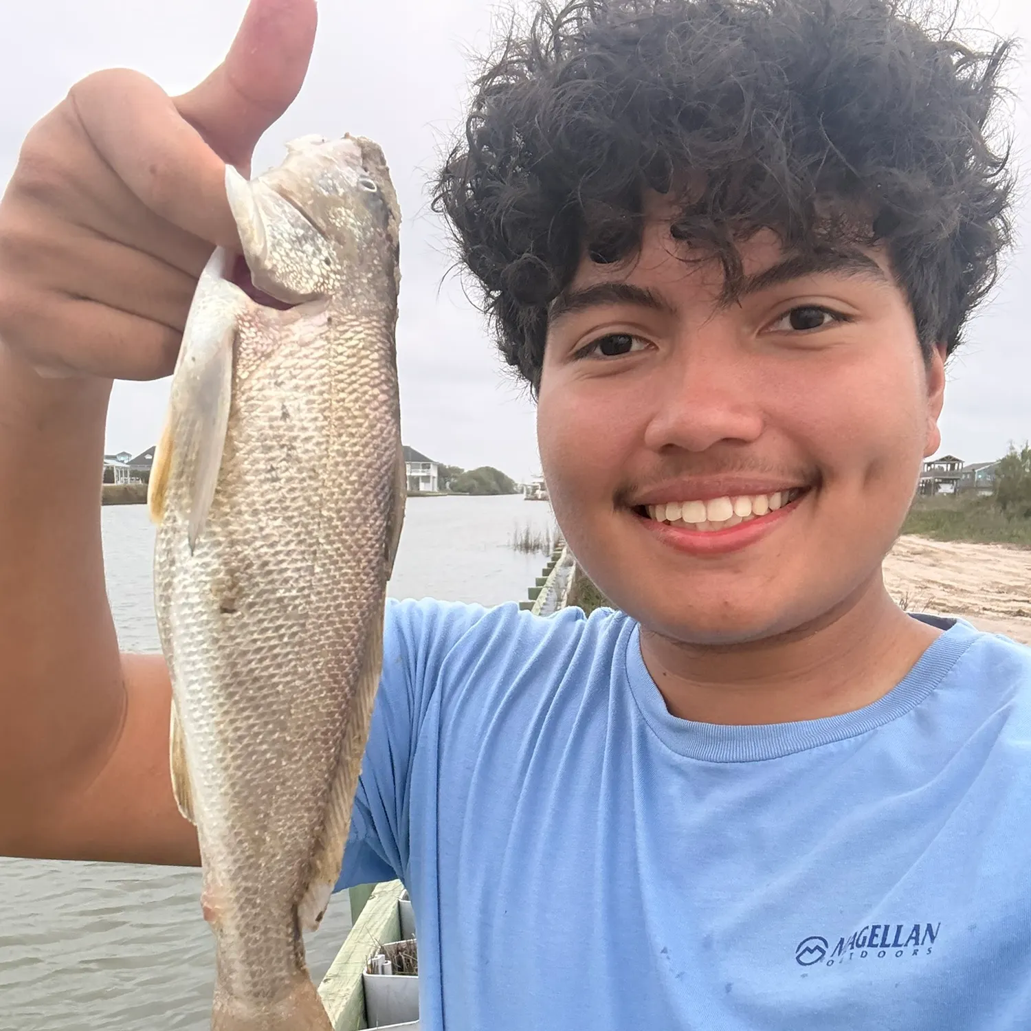 The most recent Southern kingcroaker catches on Fishbrain