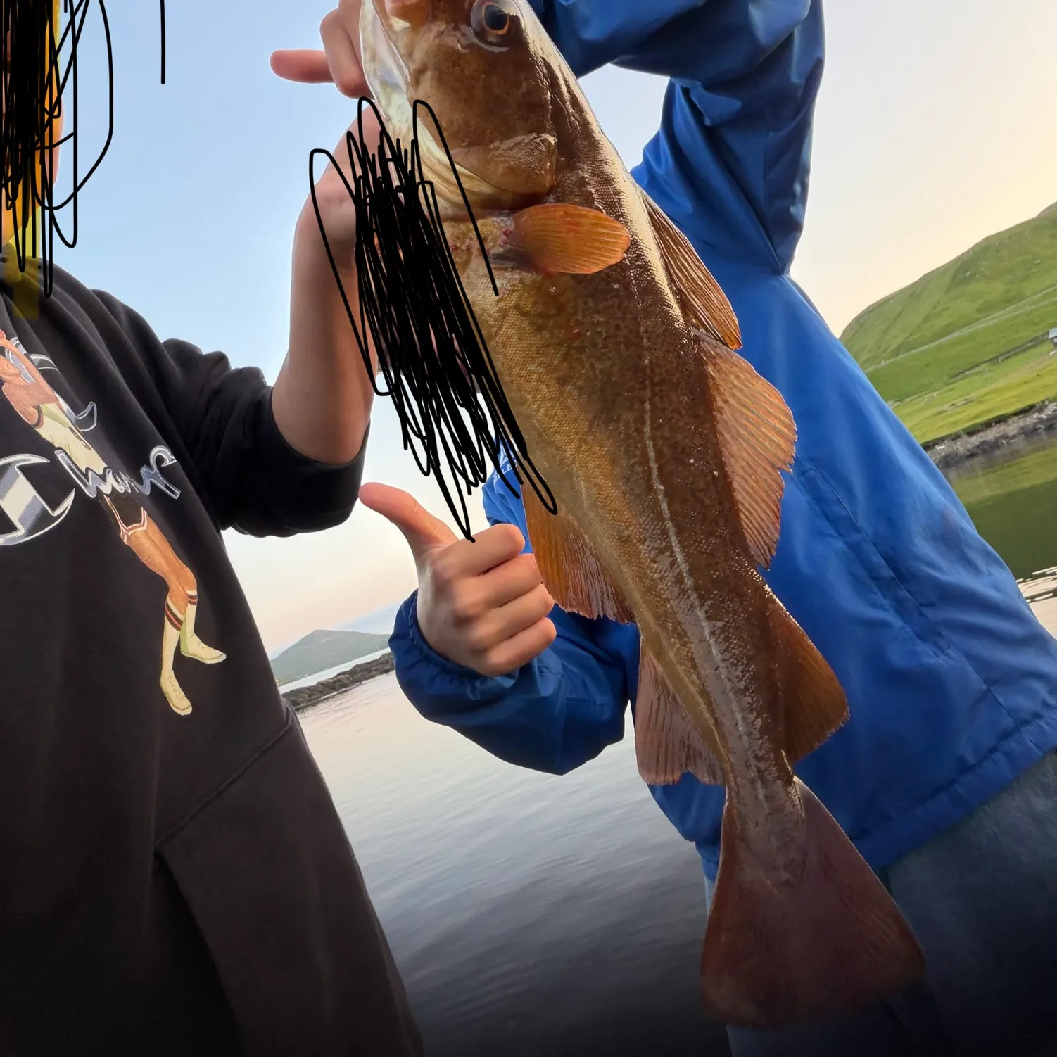 The most recent Red codling catches on Fishbrain
