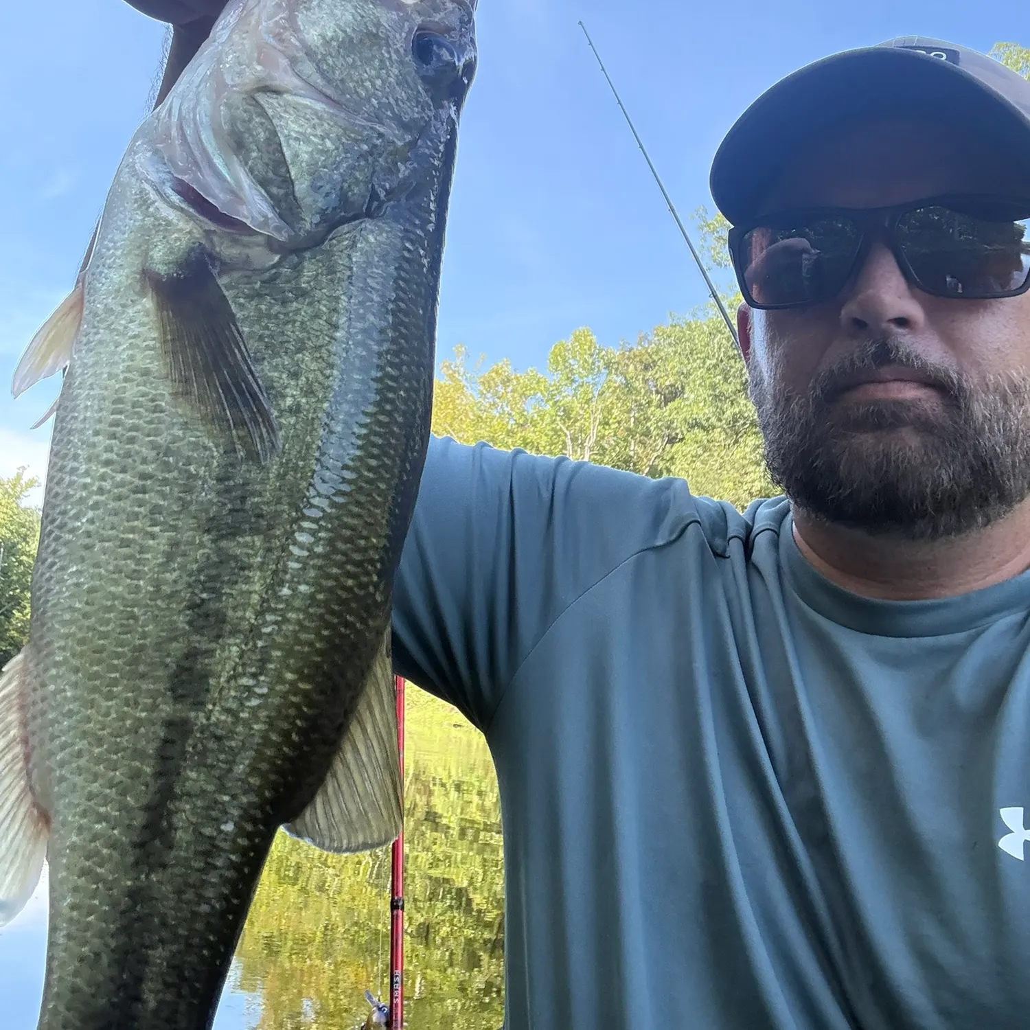Largemouth bass caught on Fishbrain