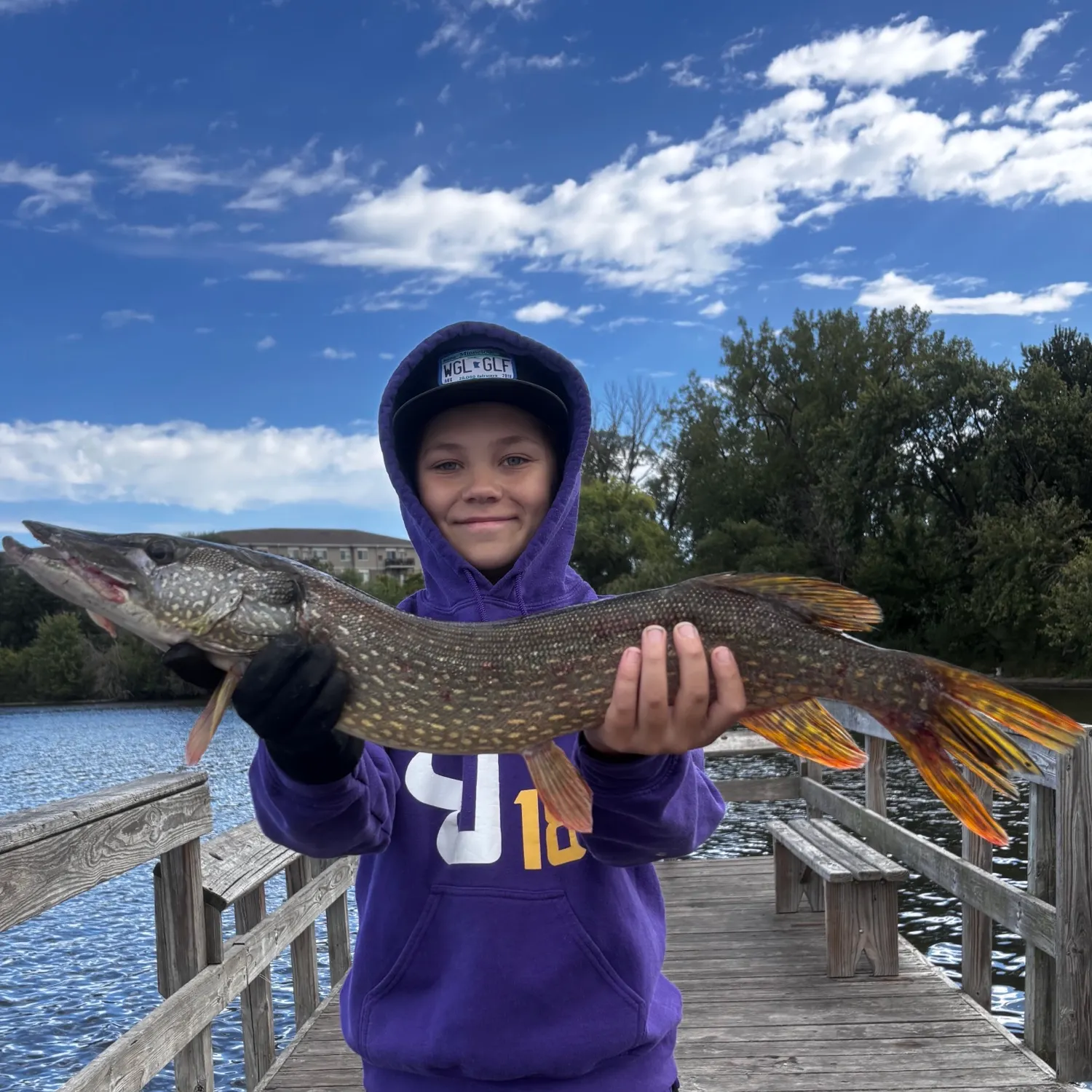 Northern pike caught on Fishbrain