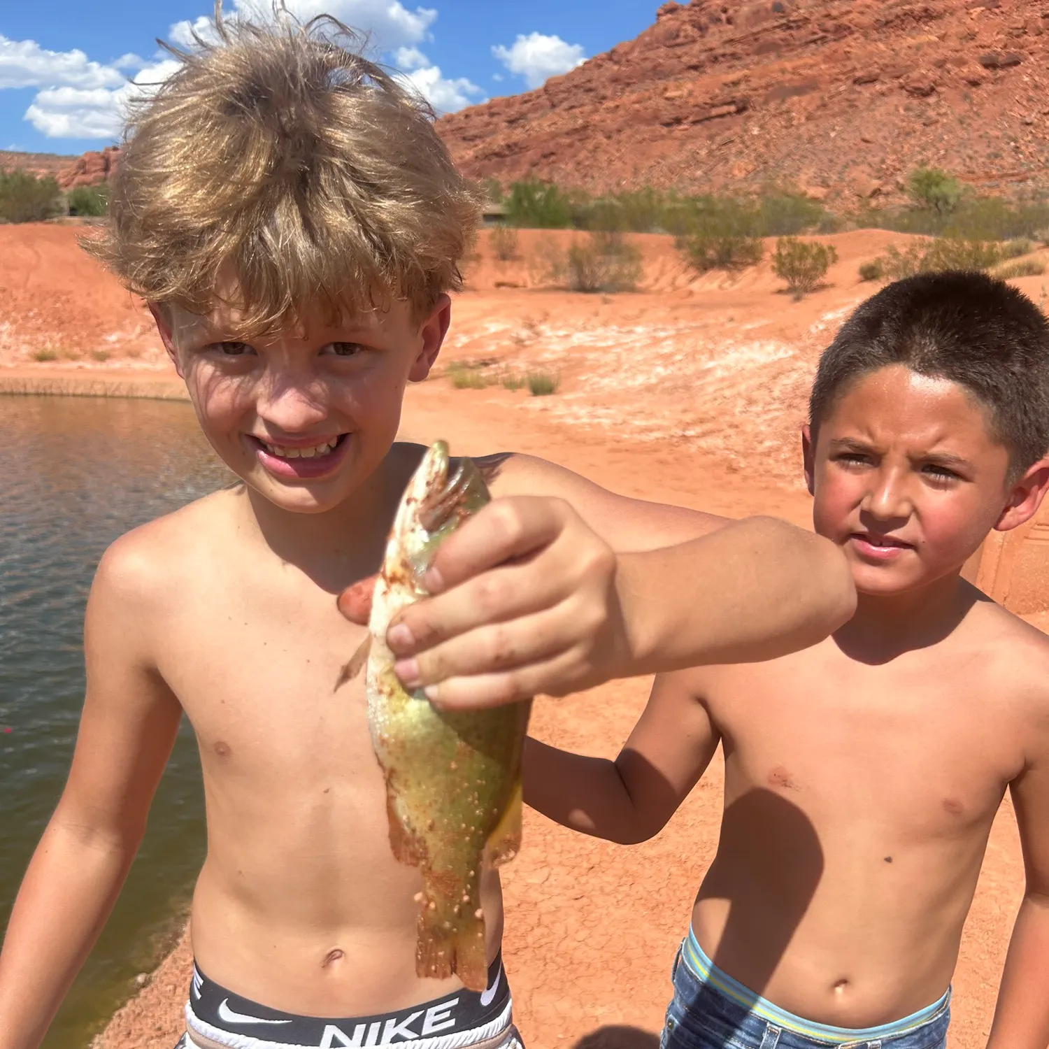 The most recent Mud sunfish catches on Fishbrain