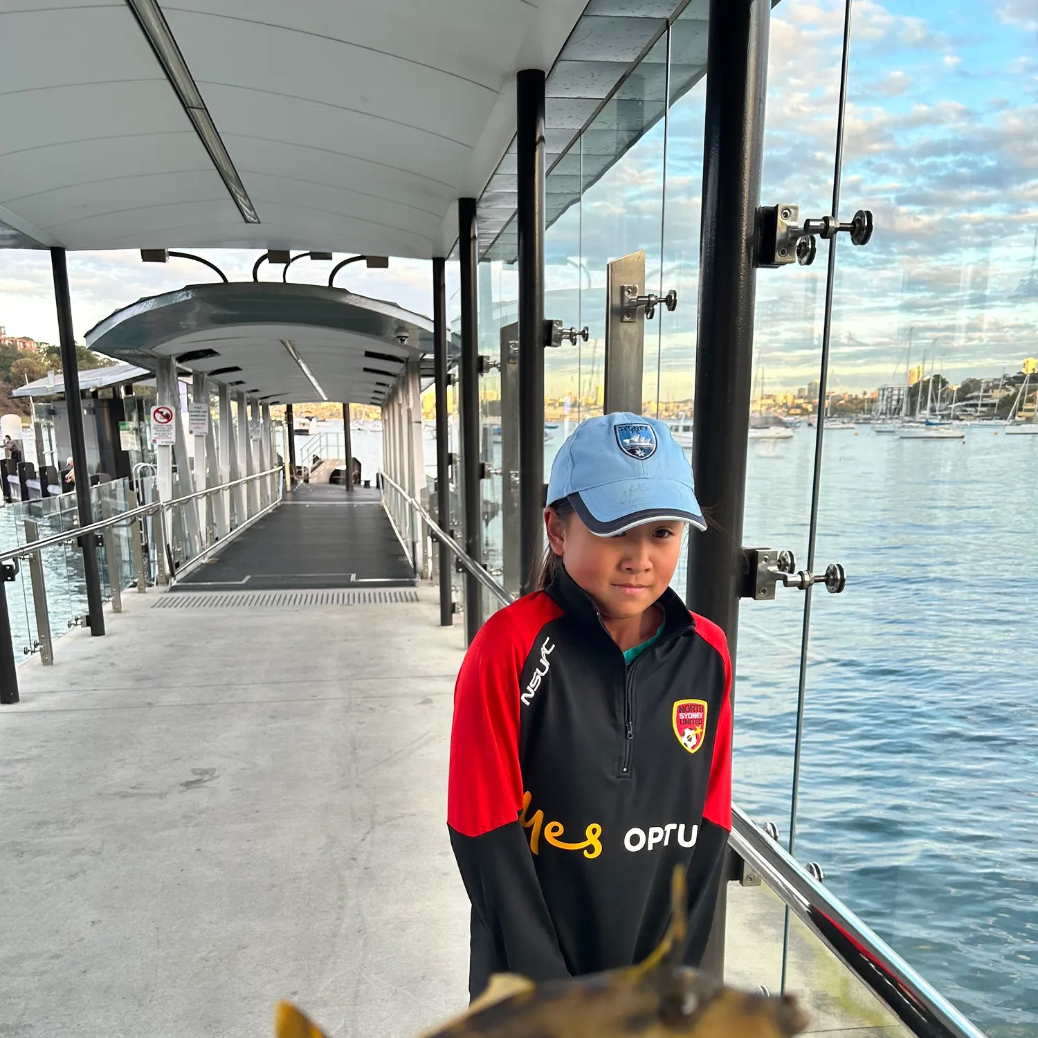 The most recent Yellowfin leatherjacket catches on Fishbrain