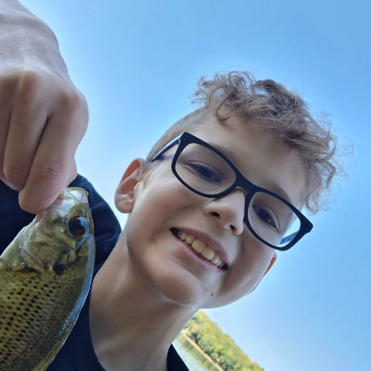 Rock bass caught on Fishbrain