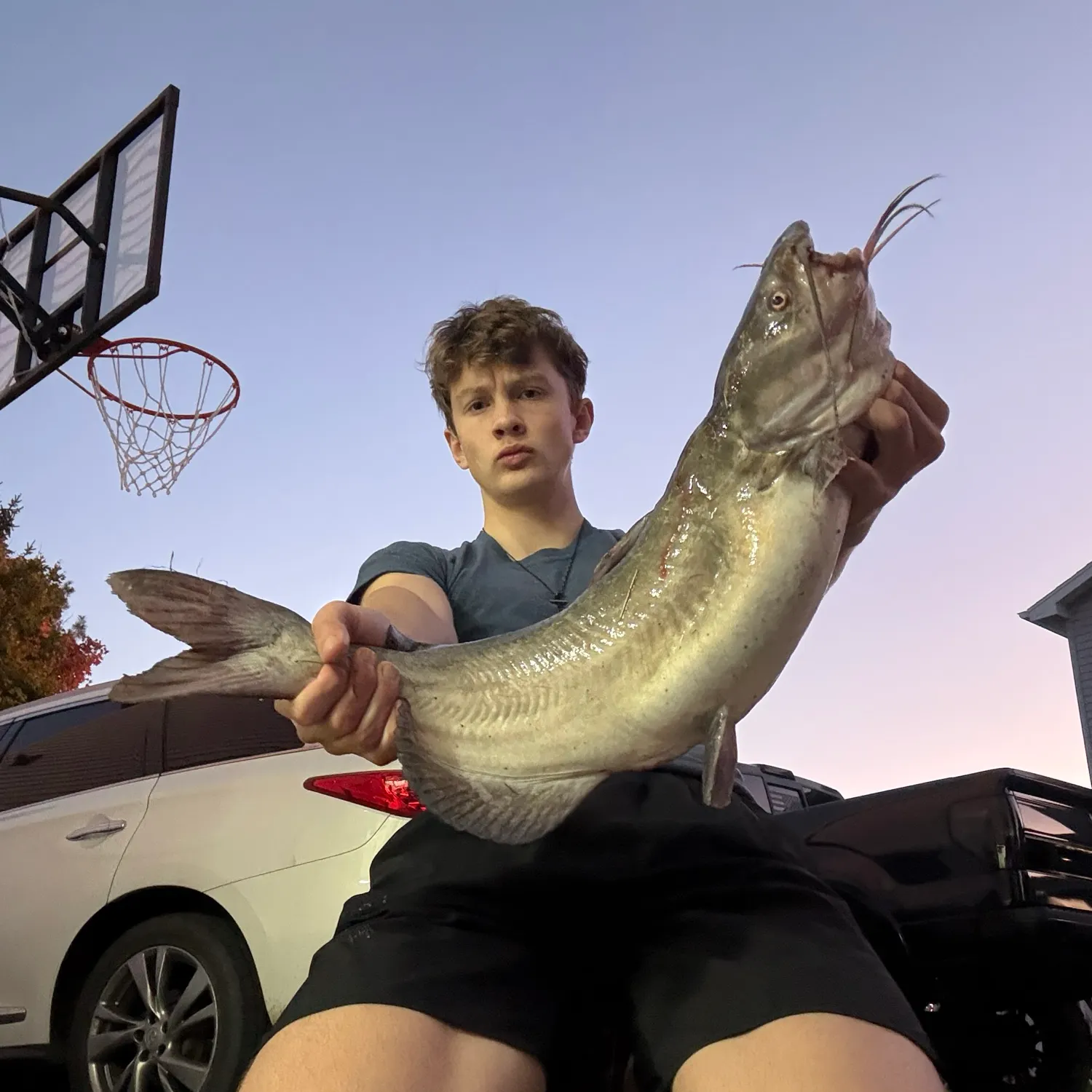 Channel catfish caught on Fishbrain